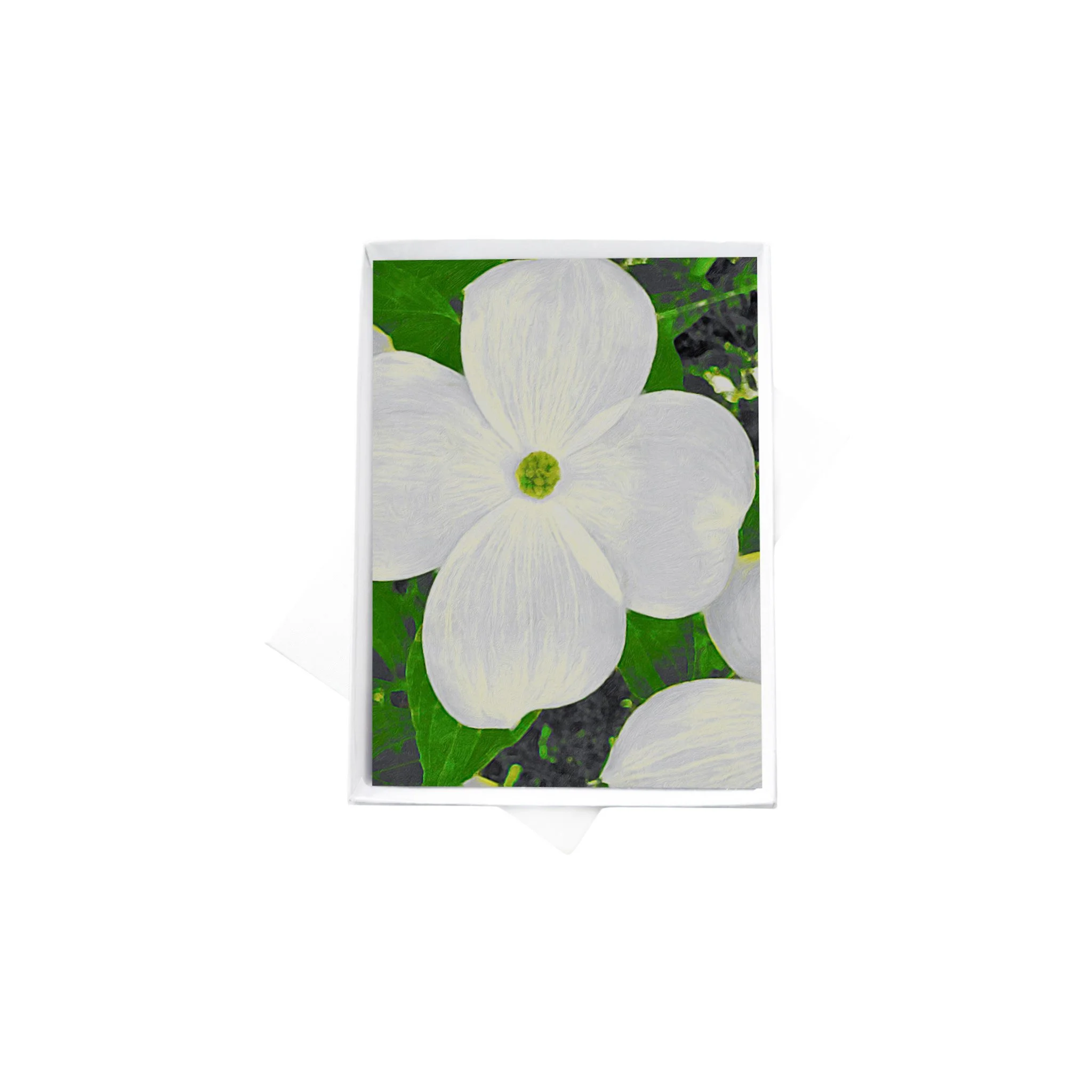 double boxes template copy 3.jpg