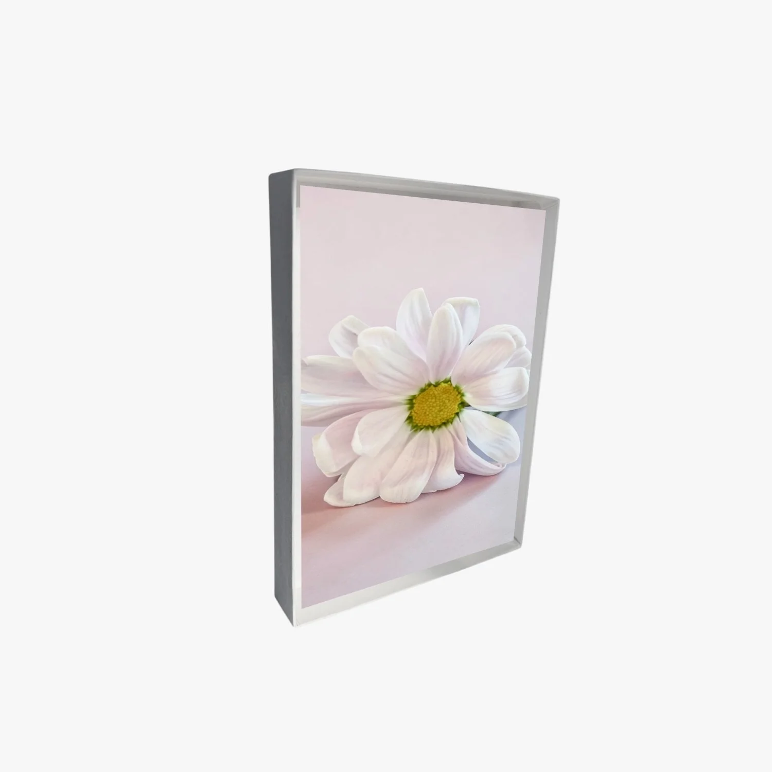 new mockup box upright (2).jpeg