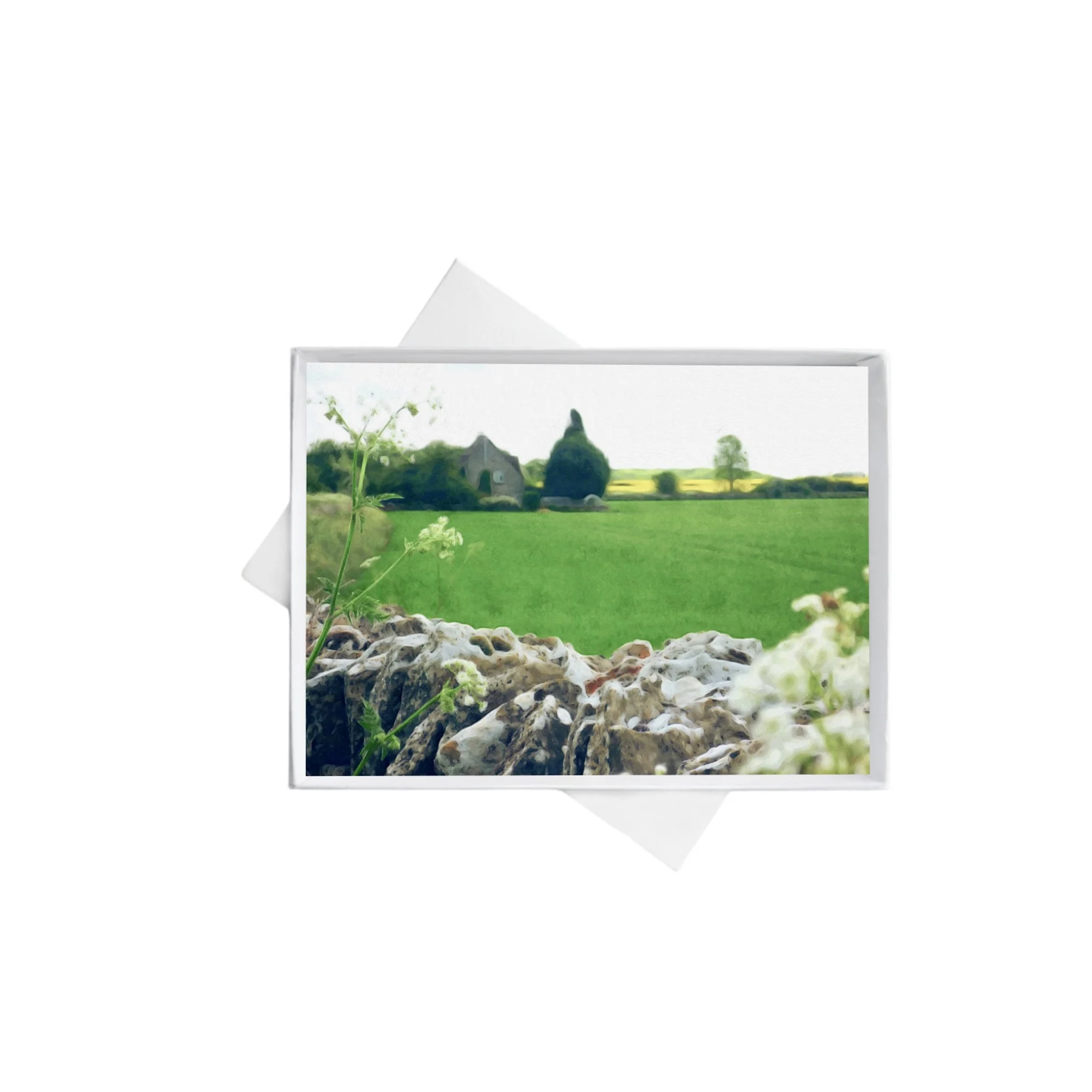 horizontal double boxes 4 (3).jpg