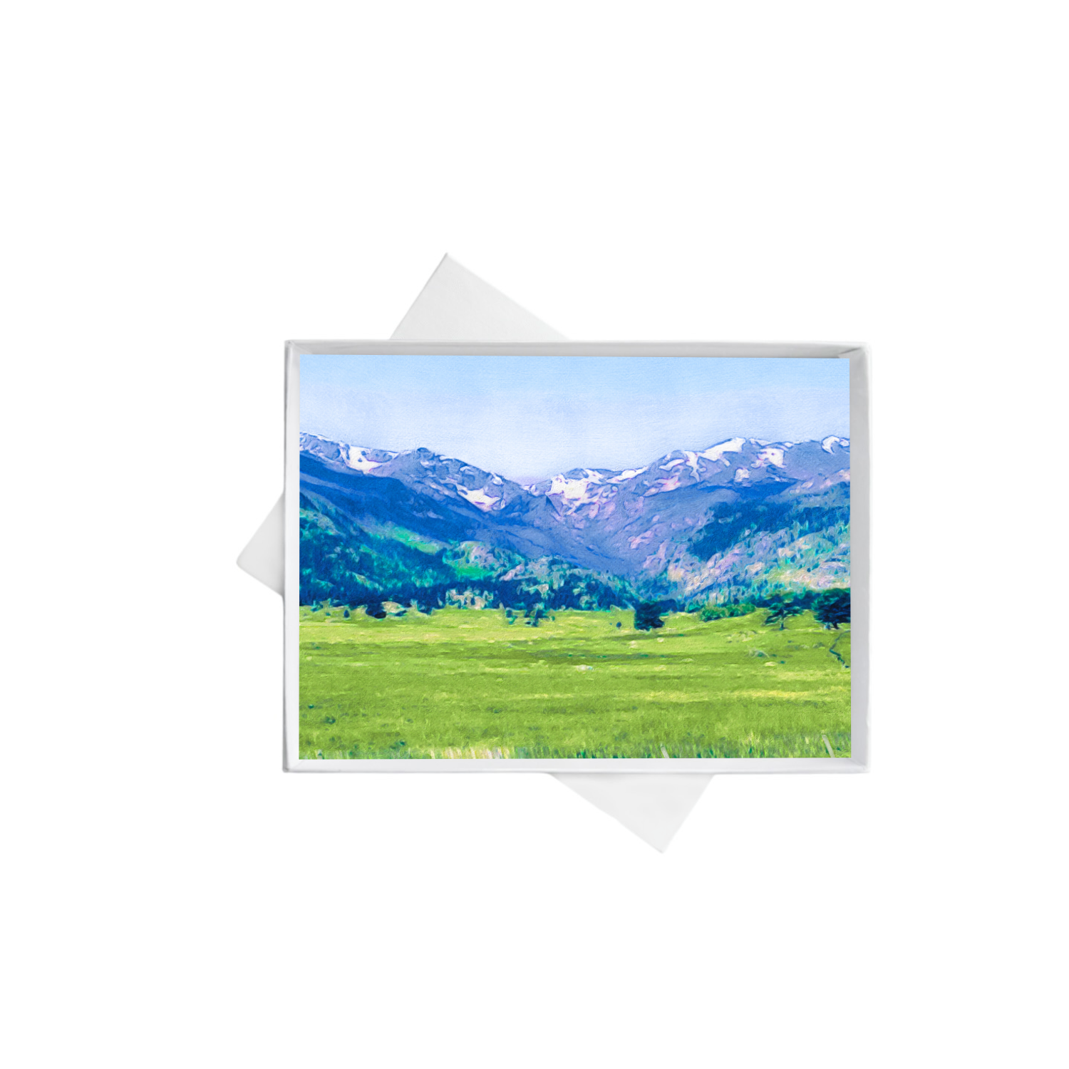 horizontal double boxes 4 copy.png