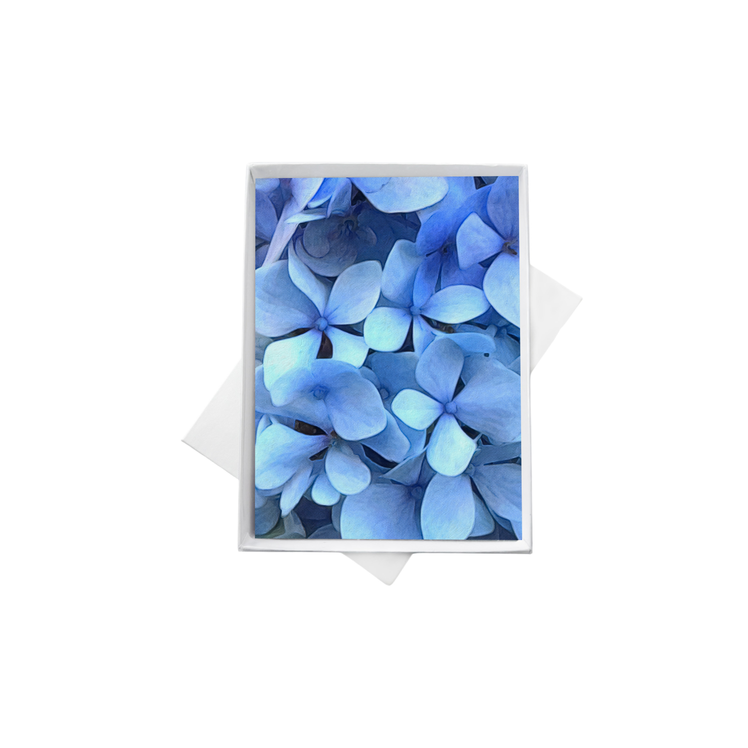 double boxes template copy 2.png