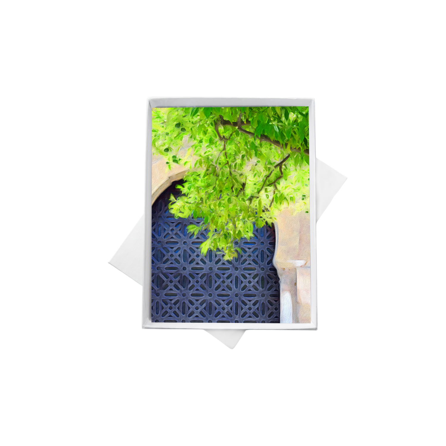 double boxes template (8).png