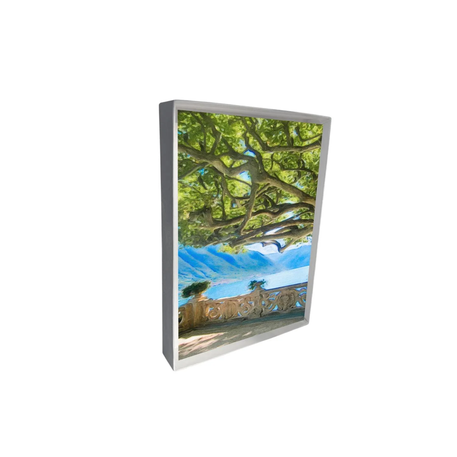 new mockup box upright copy.jpg