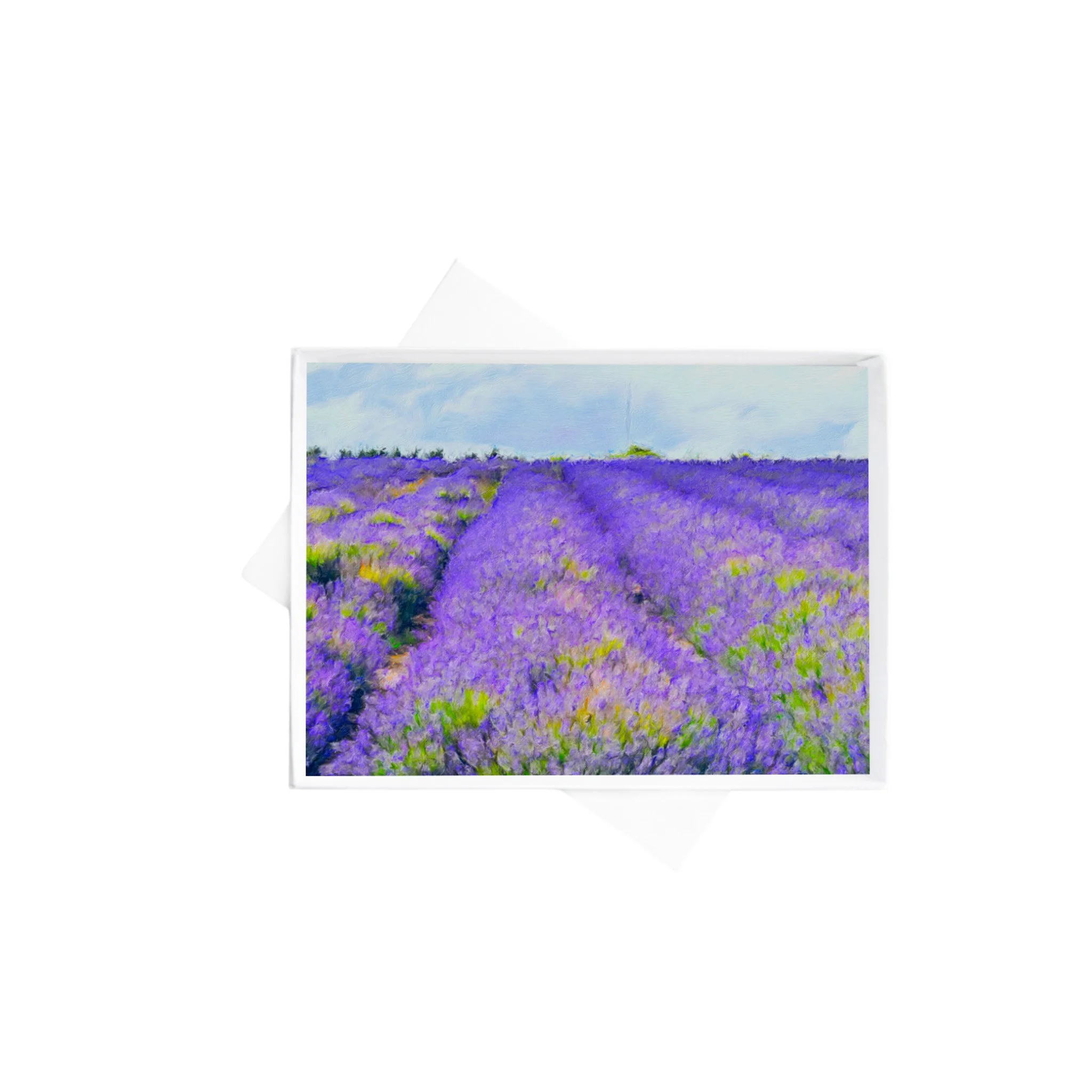 horizontal double boxes 4 (1).jpg