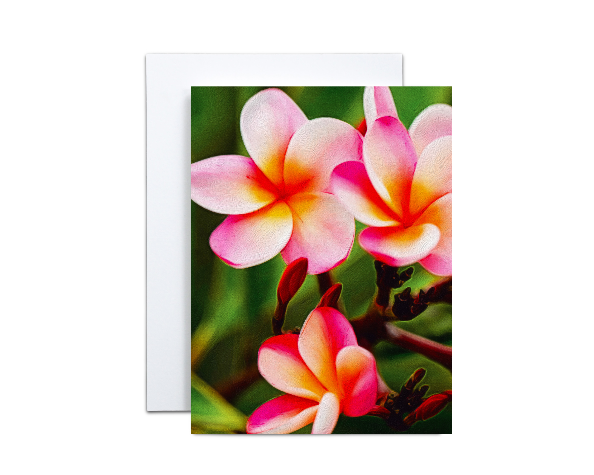 Plumeria Note Cards
