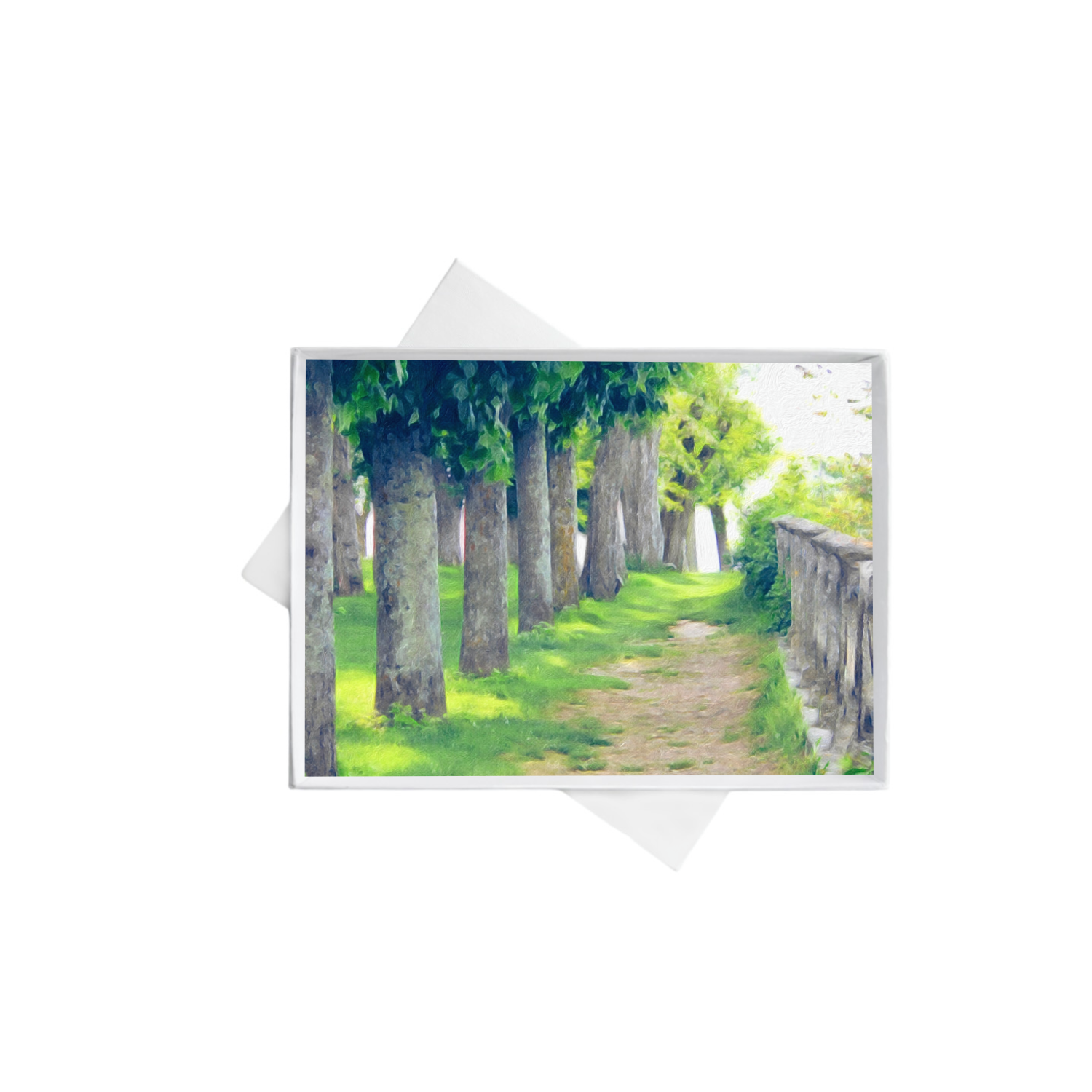 horizontal double boxes 4 copy 2.png