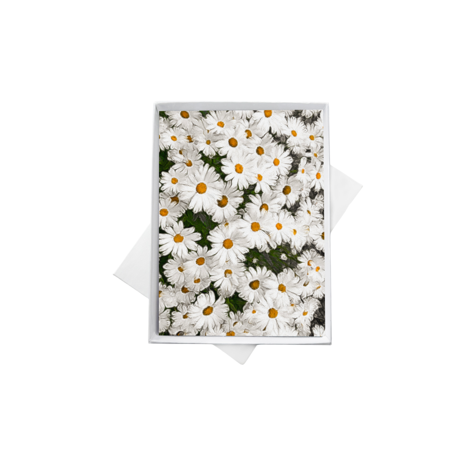 double boxes template copy.png