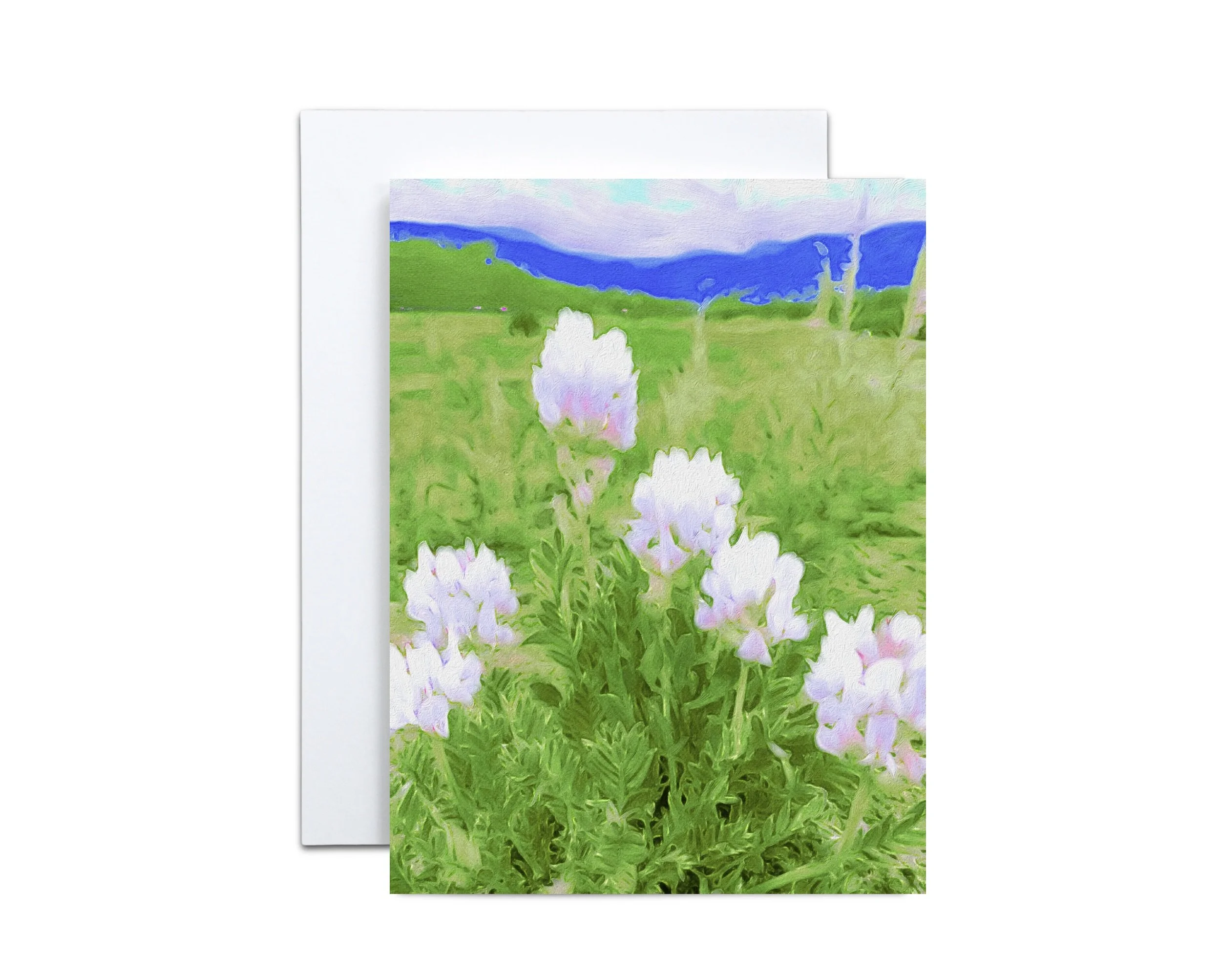 White Mountain Flower Note Cards