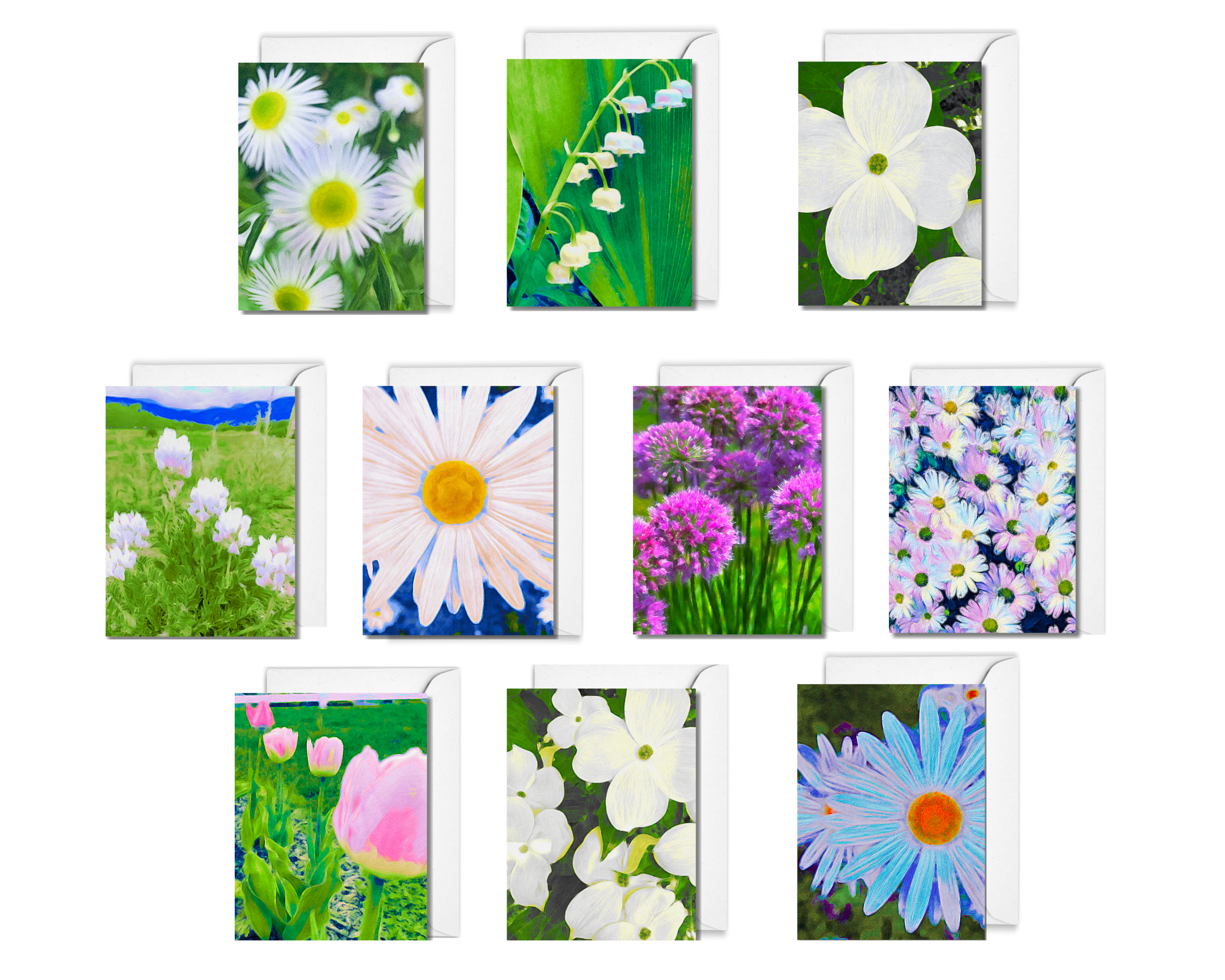 Copy of assorted for website.png