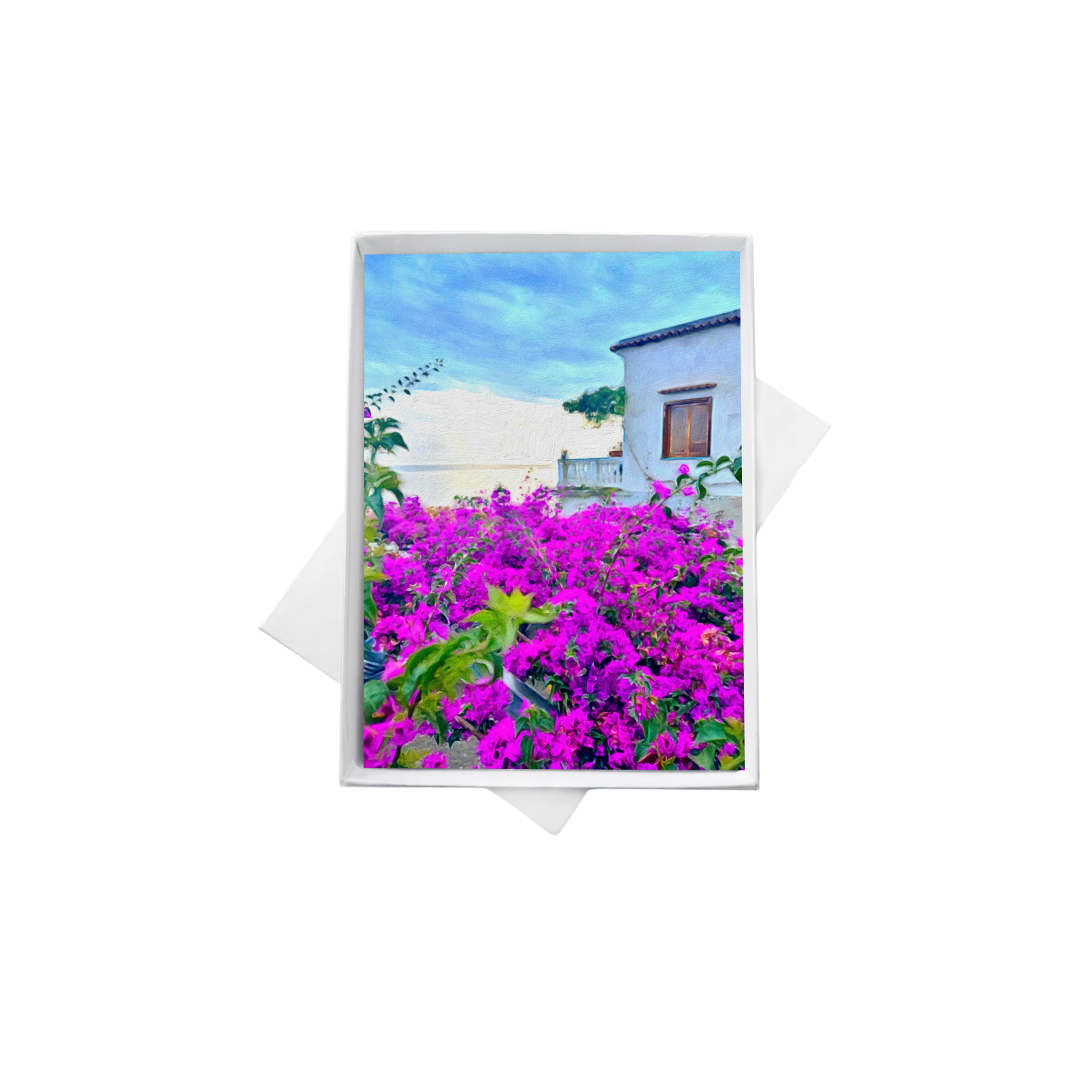 double boxes template (4).png