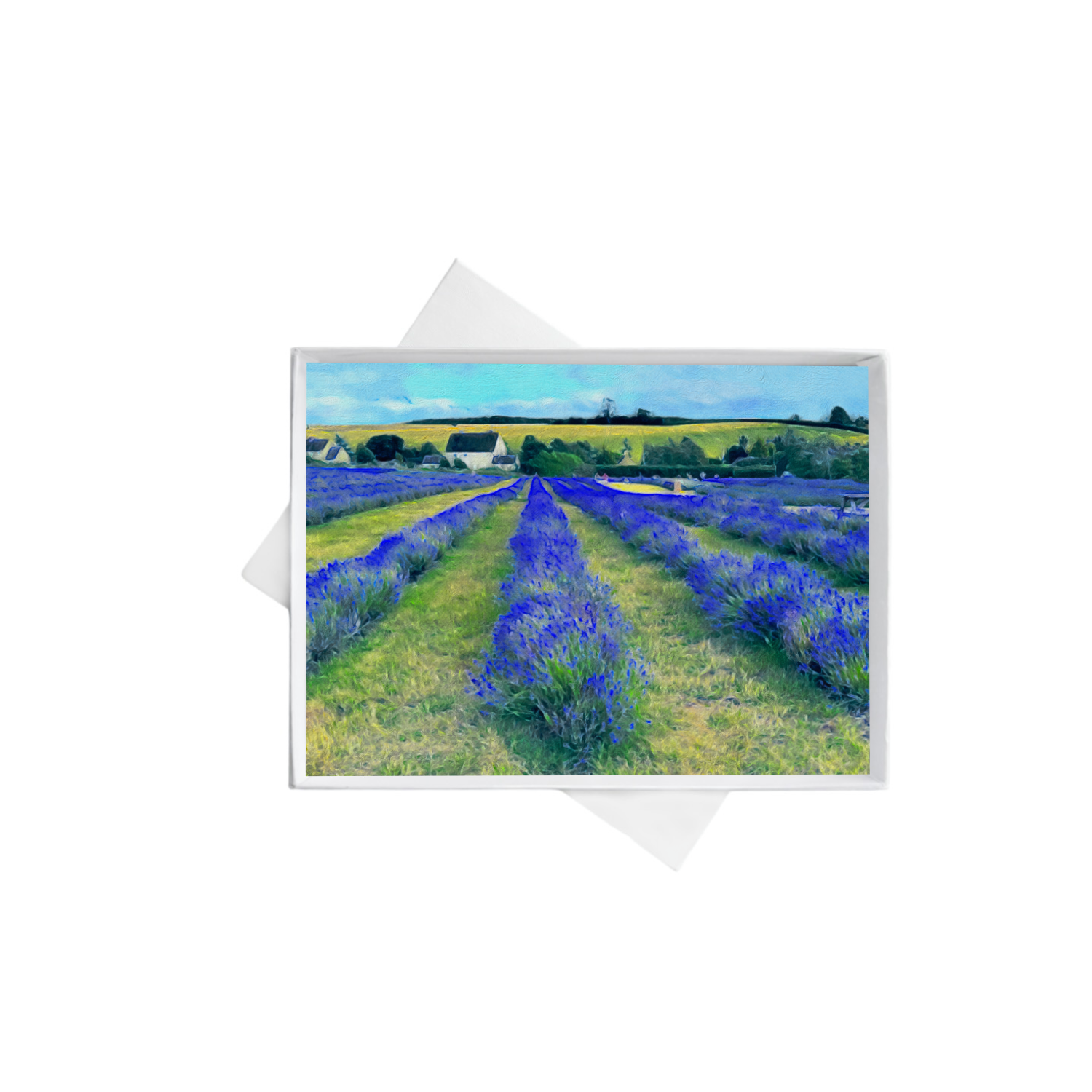 horizontal double boxes 4 (2).png