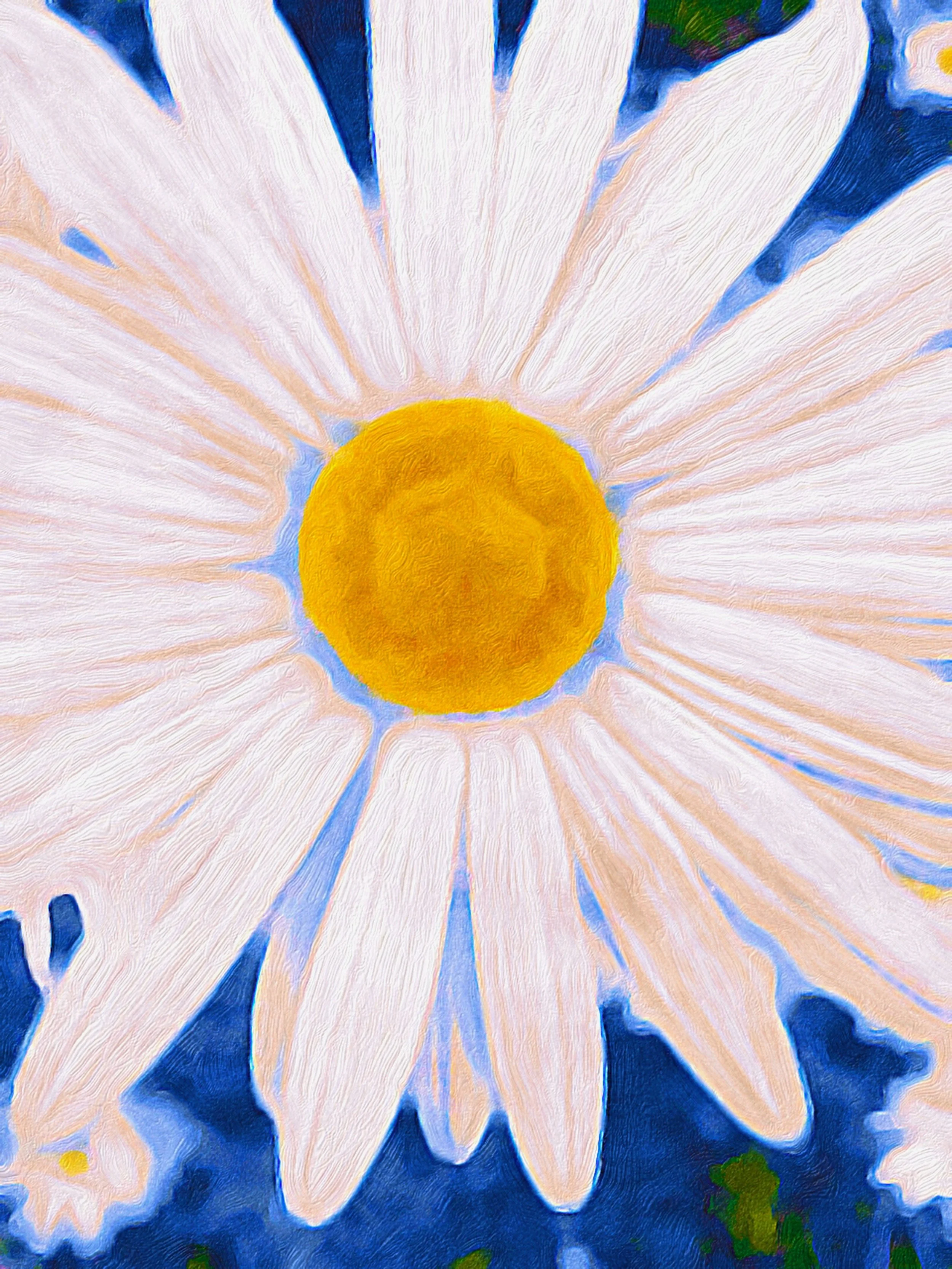 Note cards and stationery of a daisy flower with white petals and a yellow center against a blue background. Painted daisy and cards for brides and baby showers.
