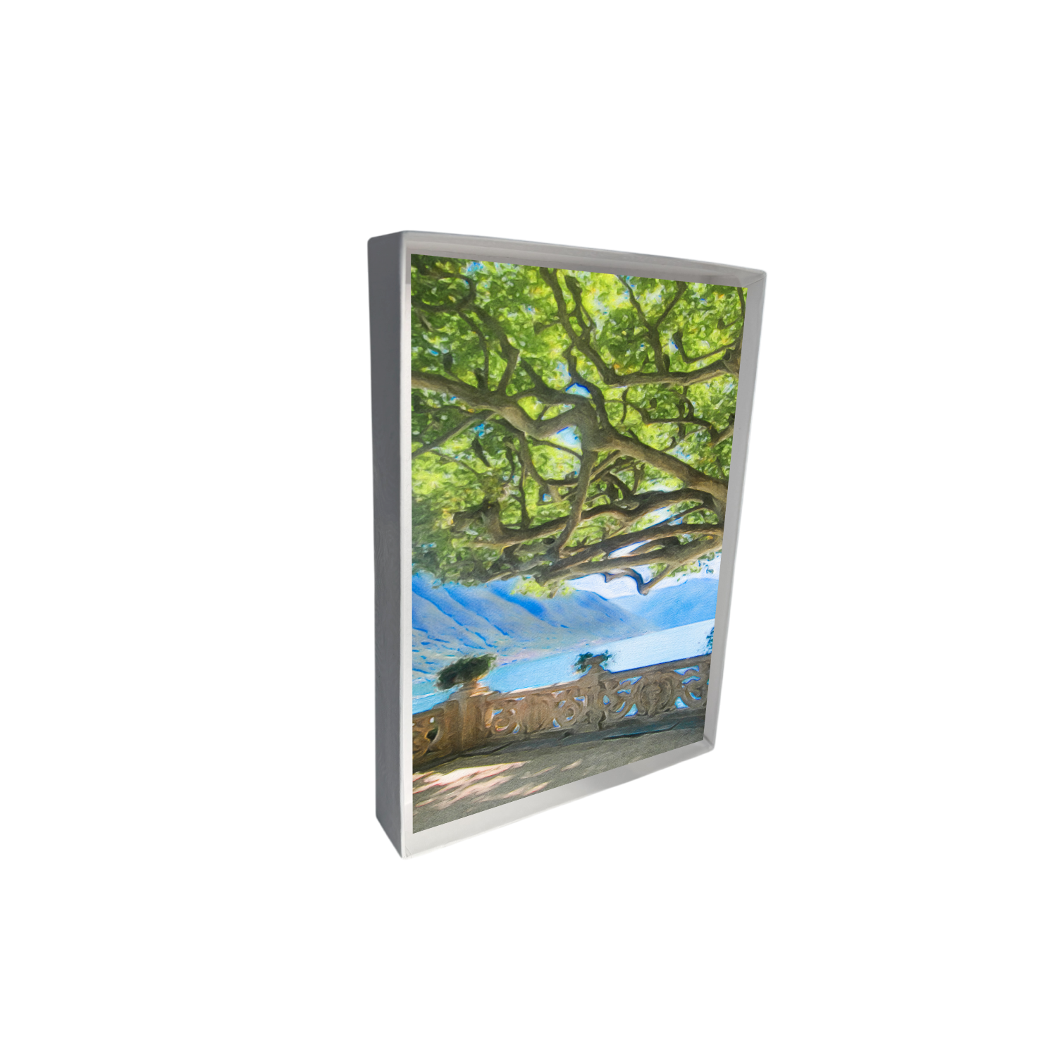 new mockup box upright copy 4.png