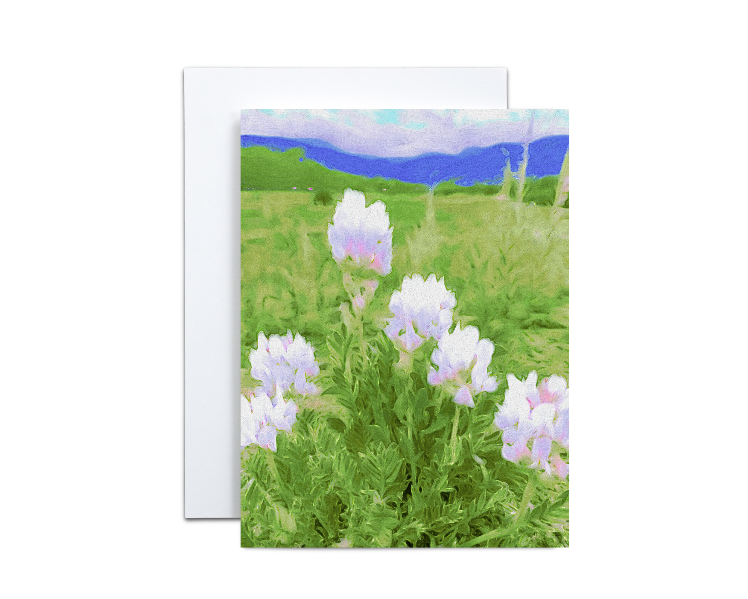 White Mountain Flower Note Cards