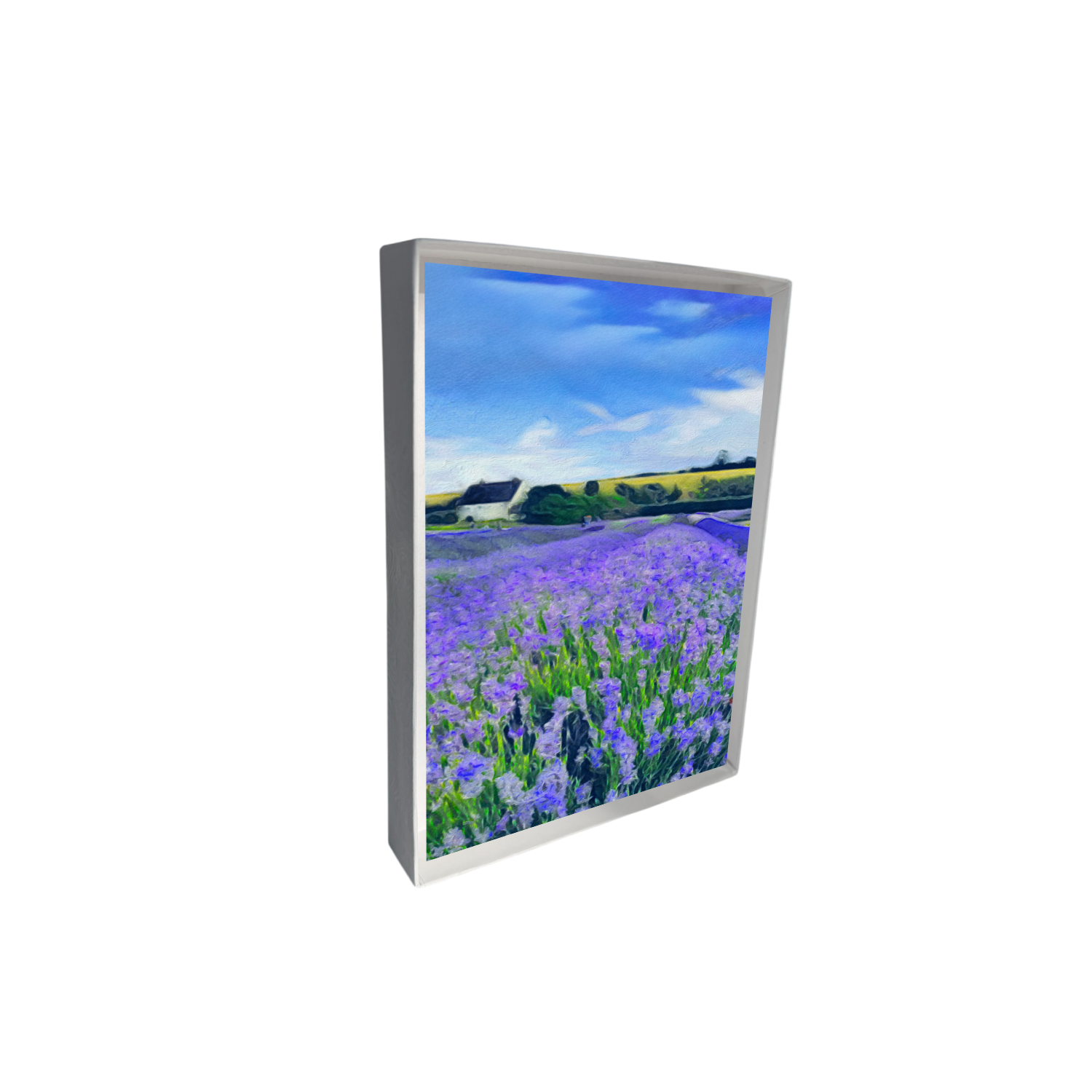 new mockup box upright (3) copy.png