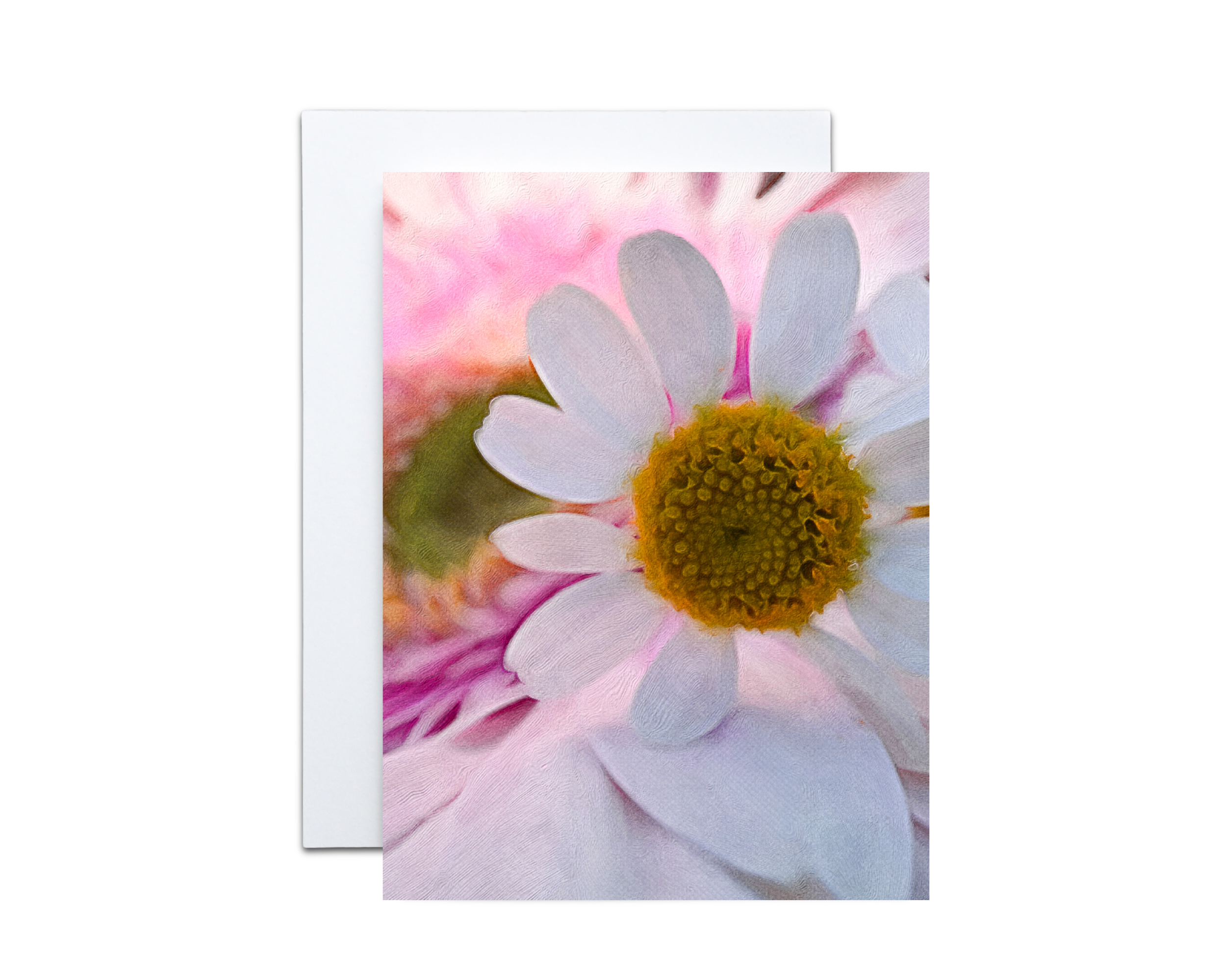 ErinPlewesMockups-5x7Card use 3000 x 2400 (7).png