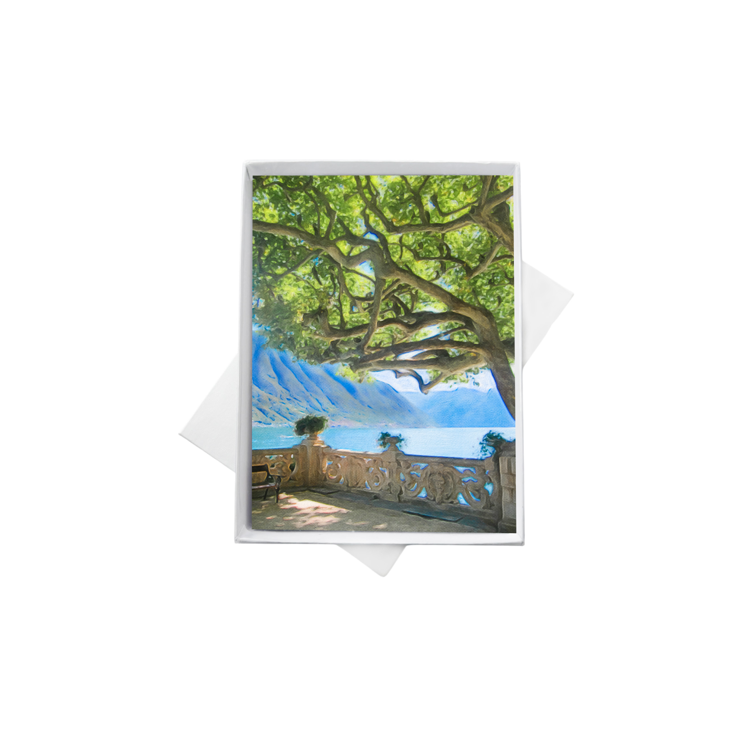 double boxes template (2).png