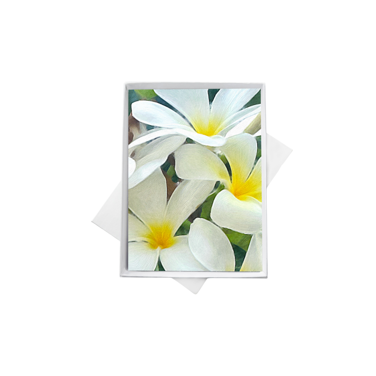 double boxes template.png