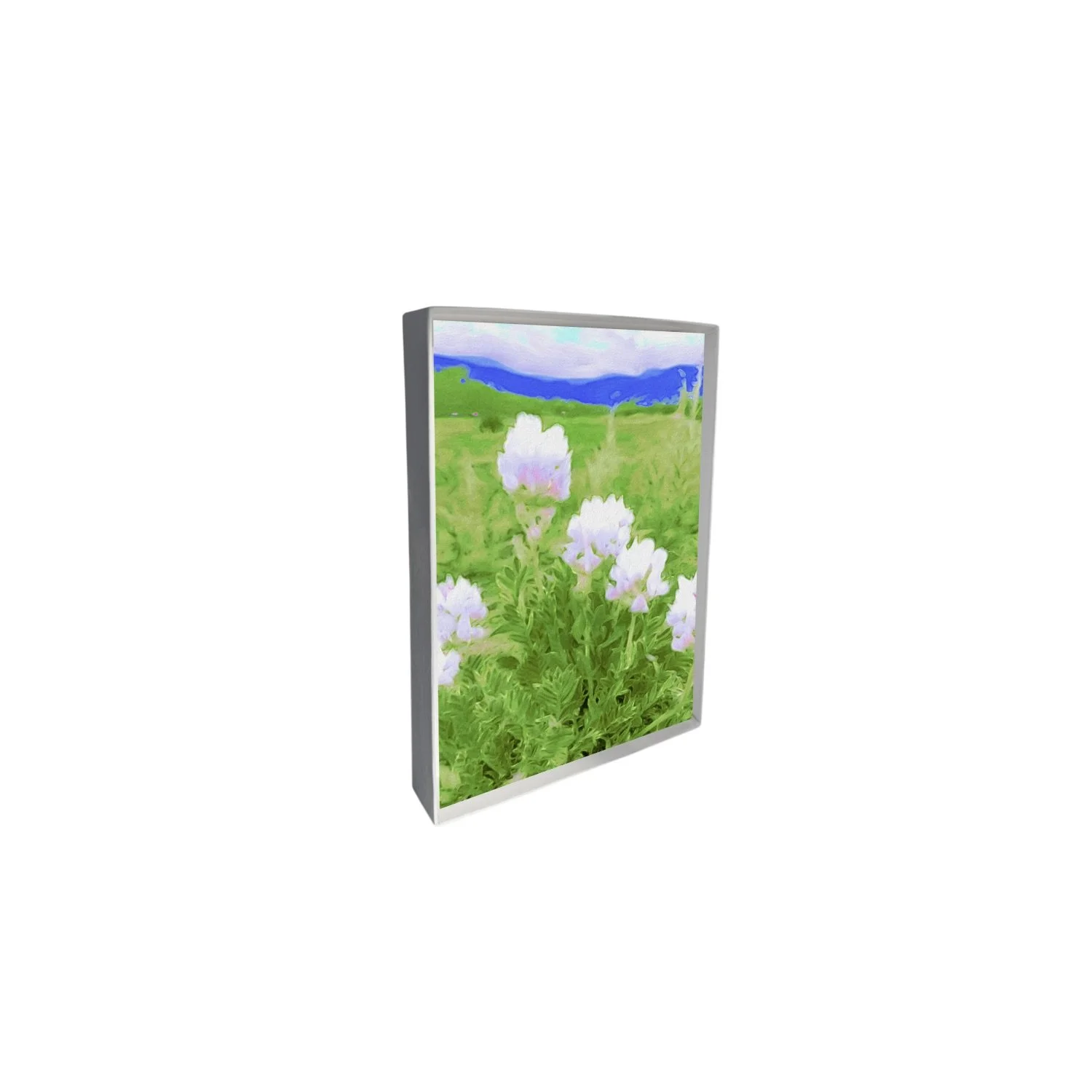 blank mockup of box upright copy 4.jpeg