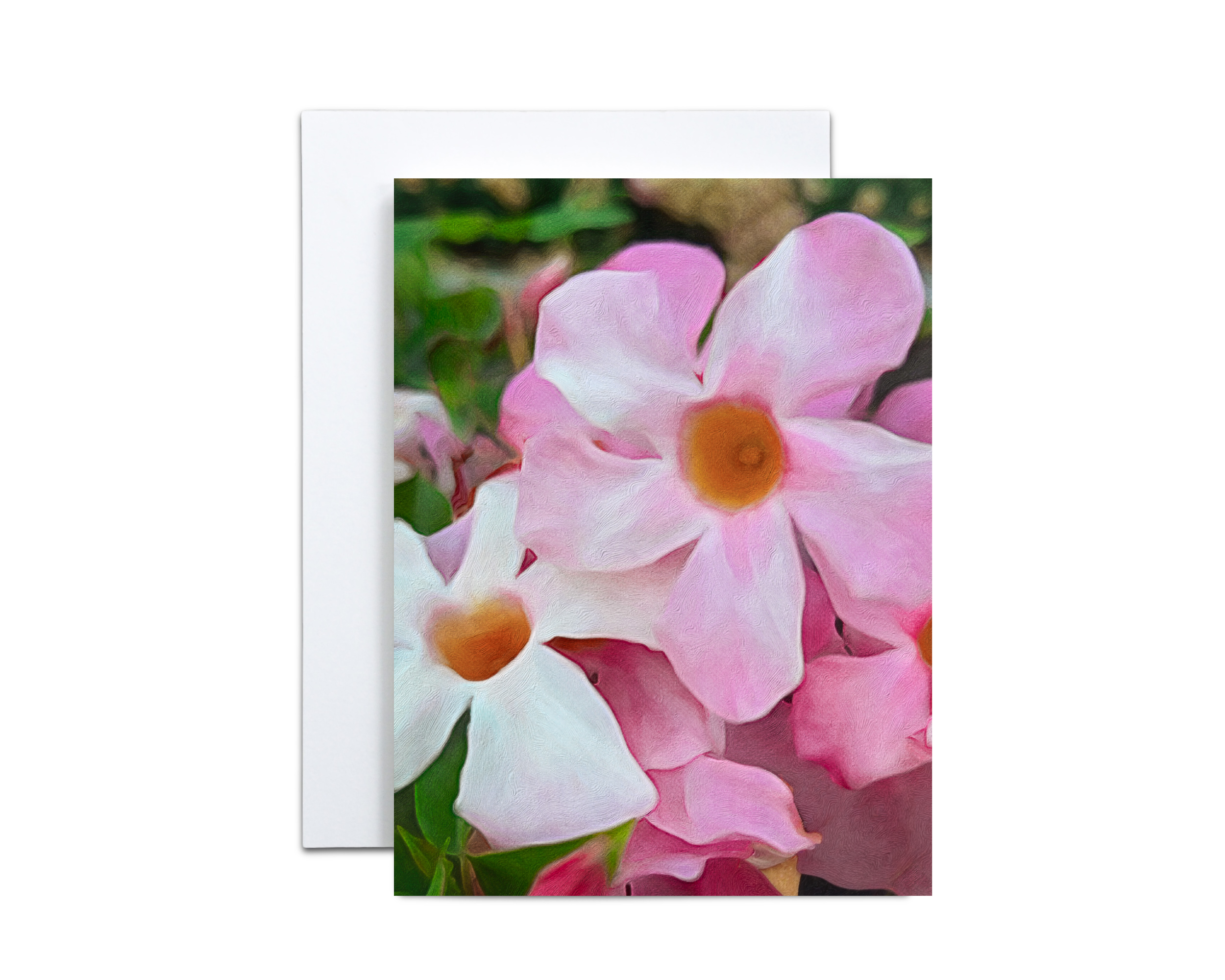 Pink Mandevilla Note Cards