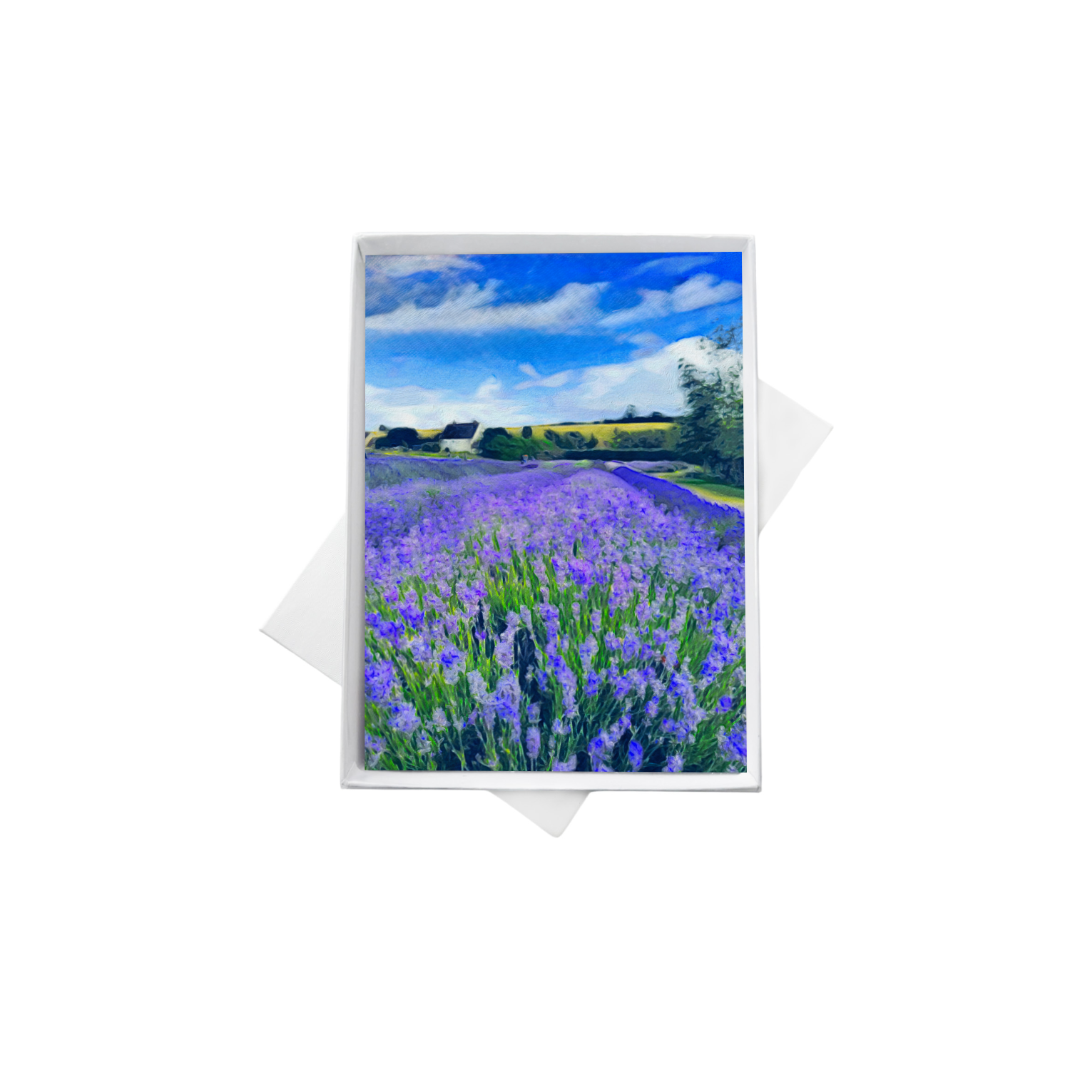 double boxes template (2).png