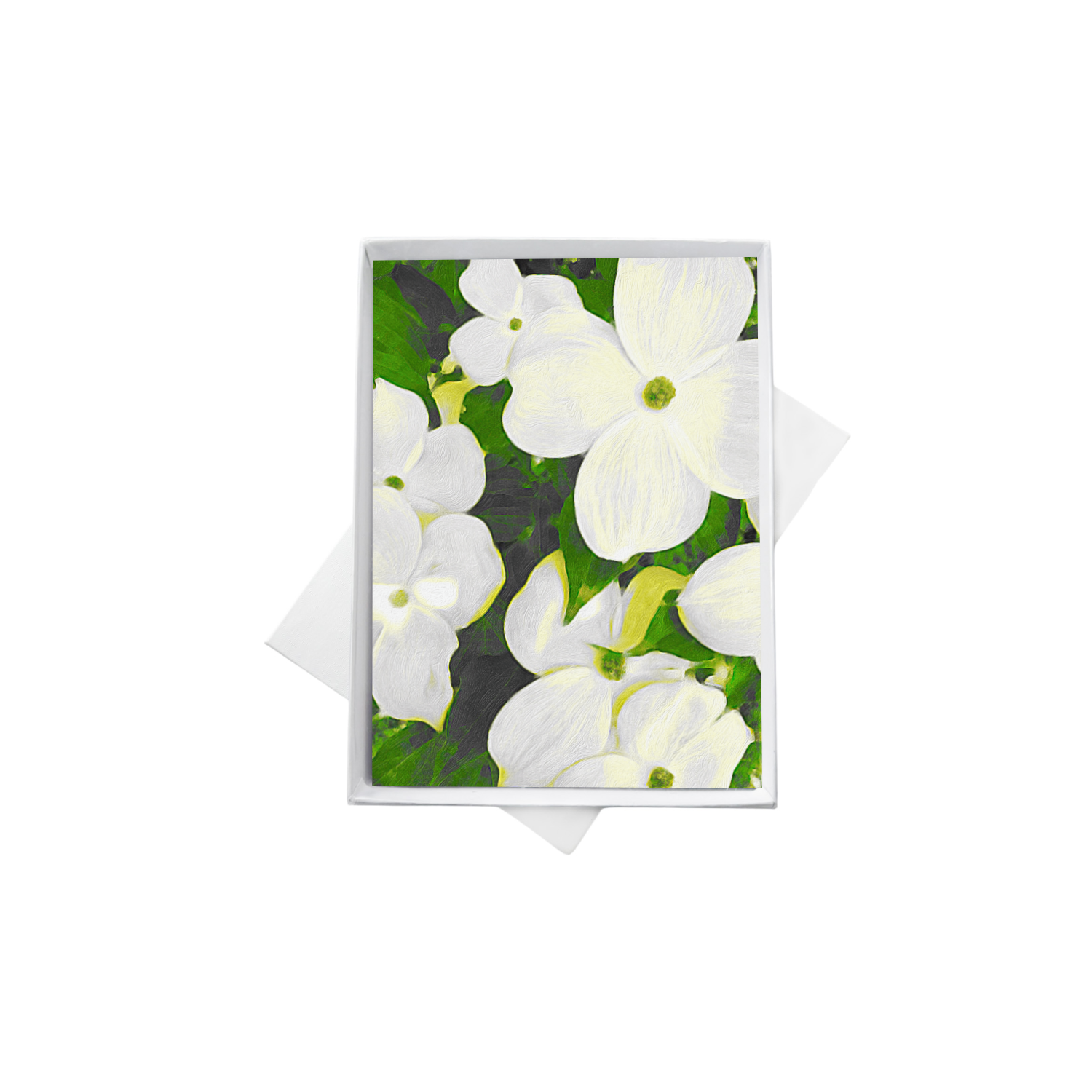 multi dogwood box 1.png