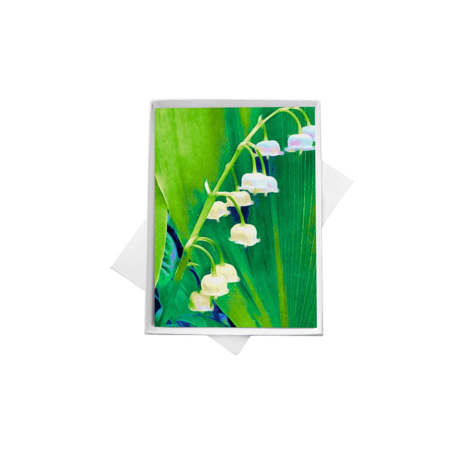double boxes template (4).png