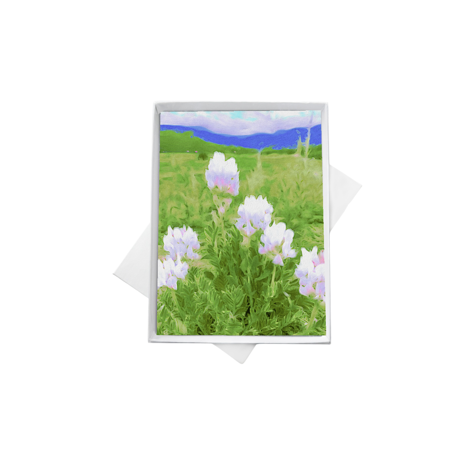 double boxes template (4) copy 5.png
