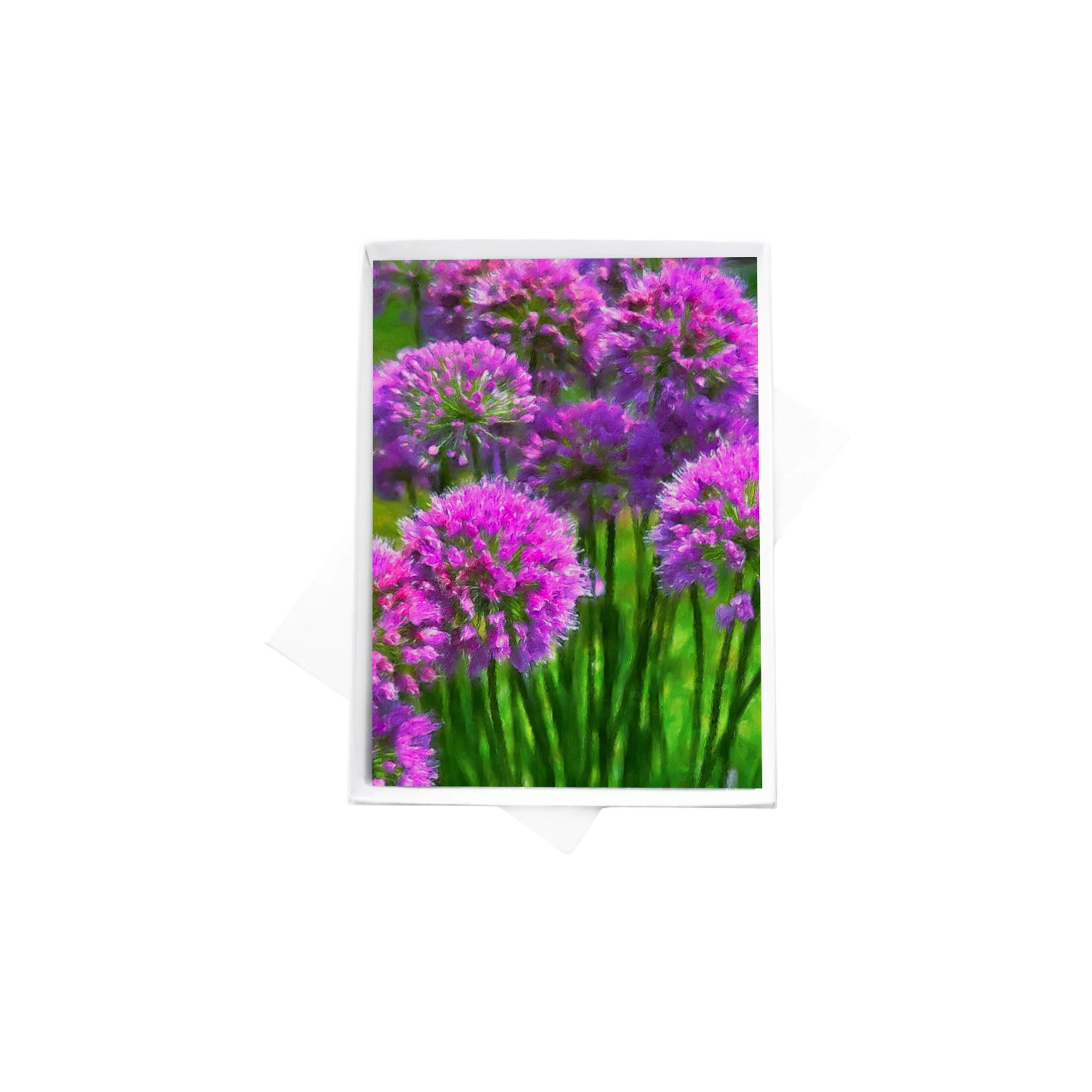 double boxes template.jpg