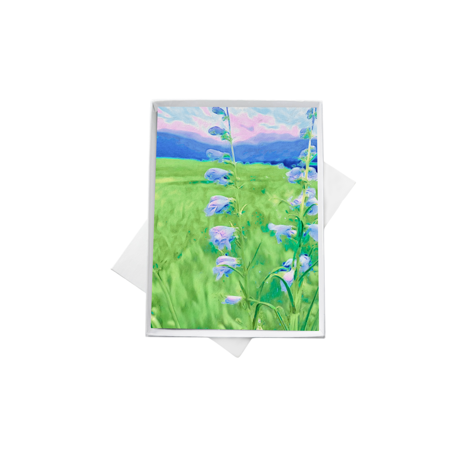 double boxes template (4) copy 4.png
