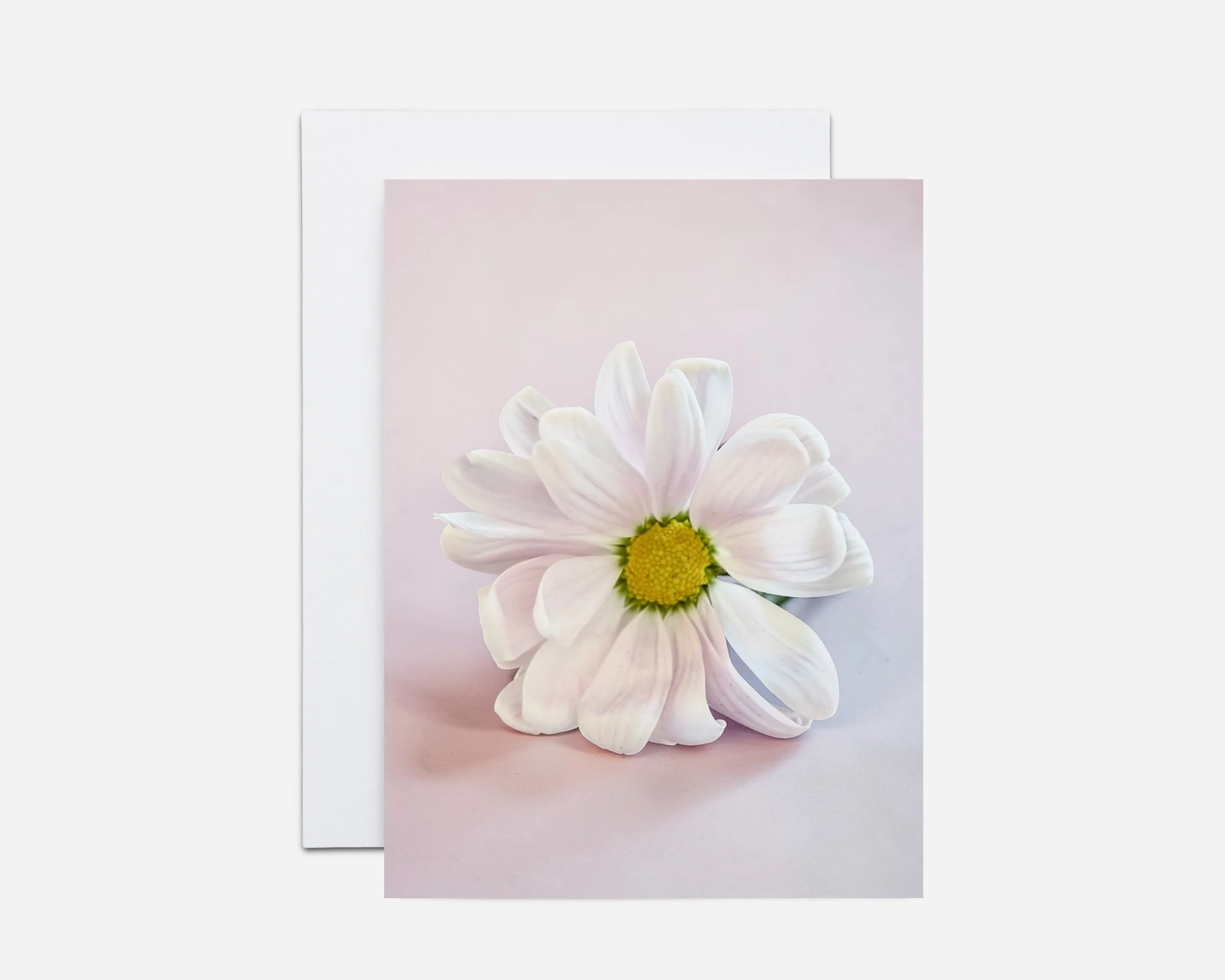 Pink Daisy Note Cards