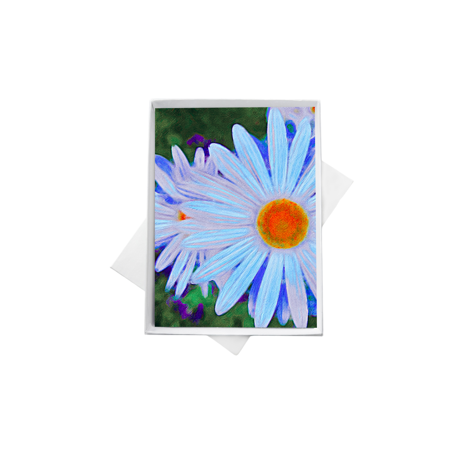 blue daisy box 1.png