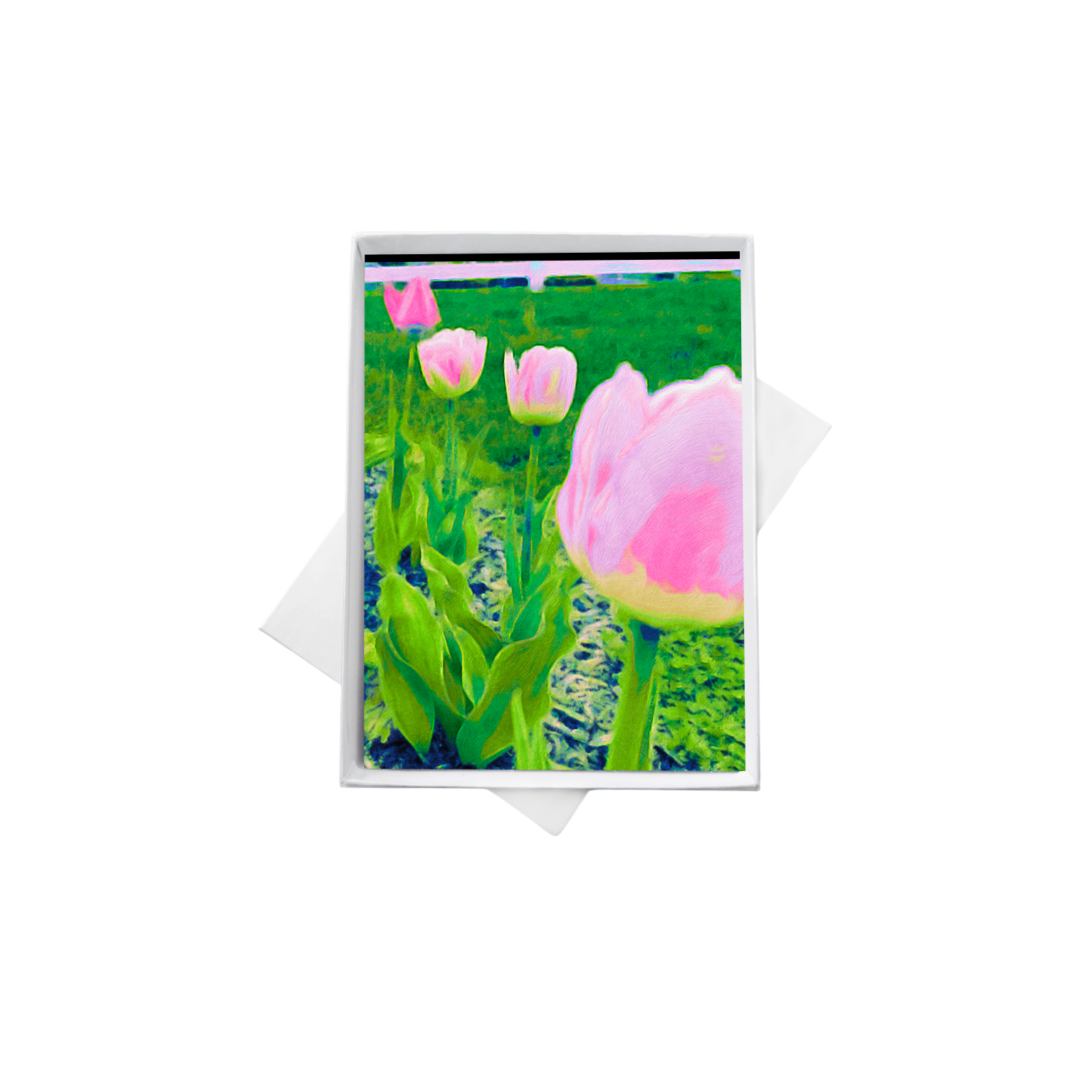 pink tulips box 1.png