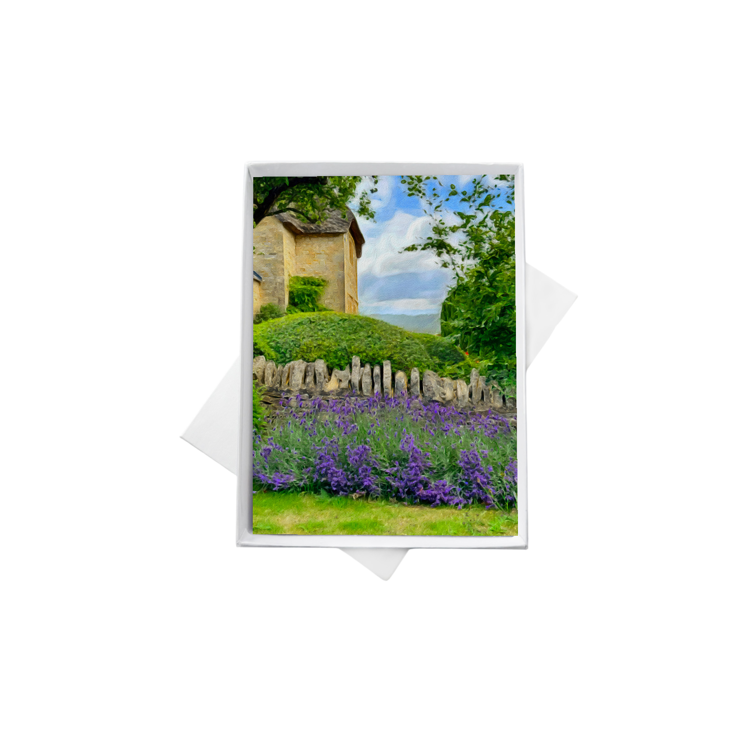 double boxes template (4).png