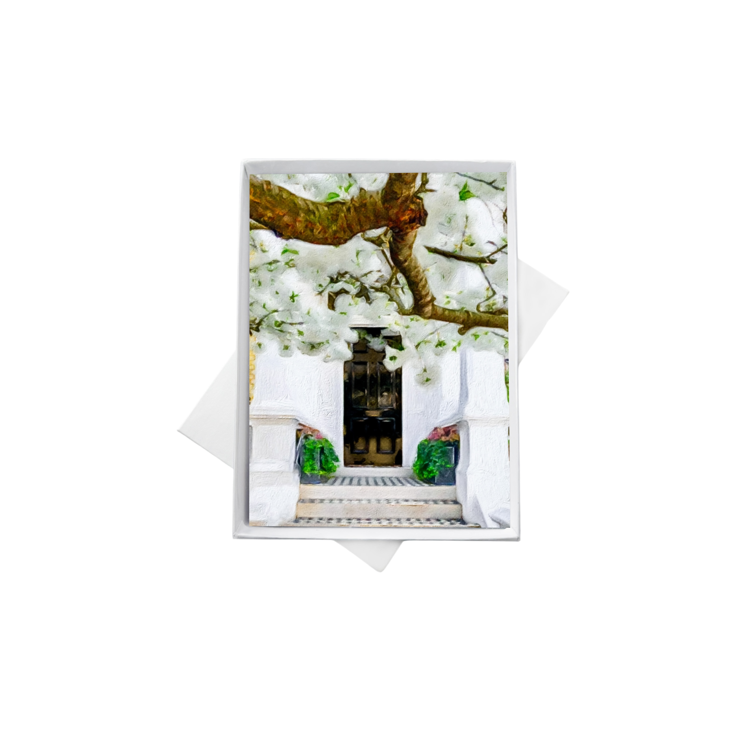 double boxes template (4).png