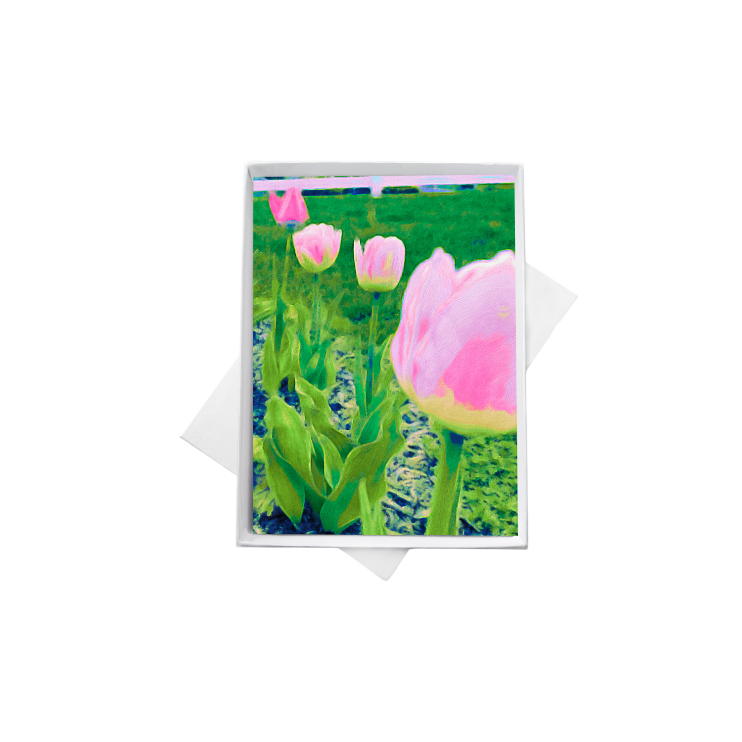 double boxes template (5).png