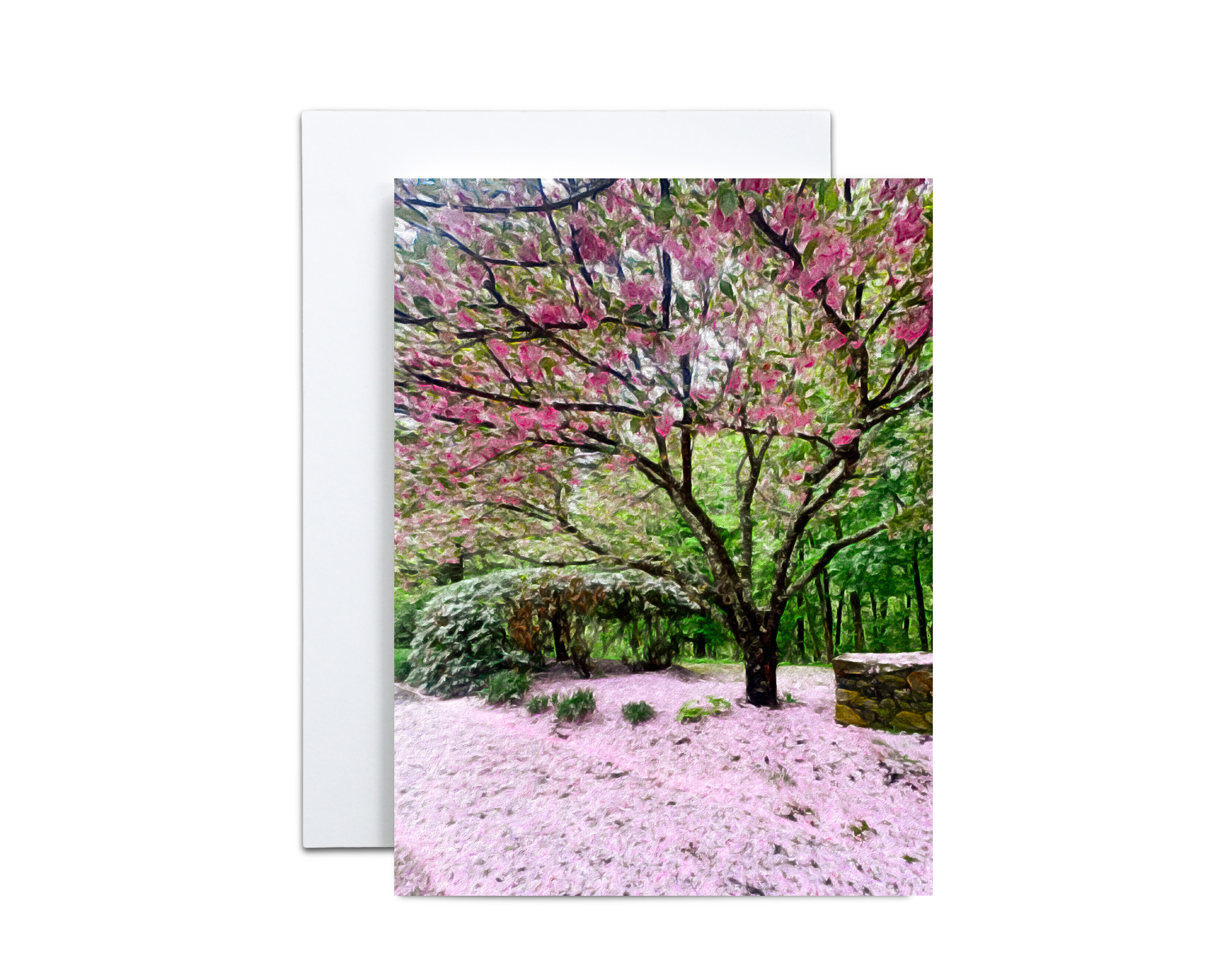 Cherry Tree Note Cards