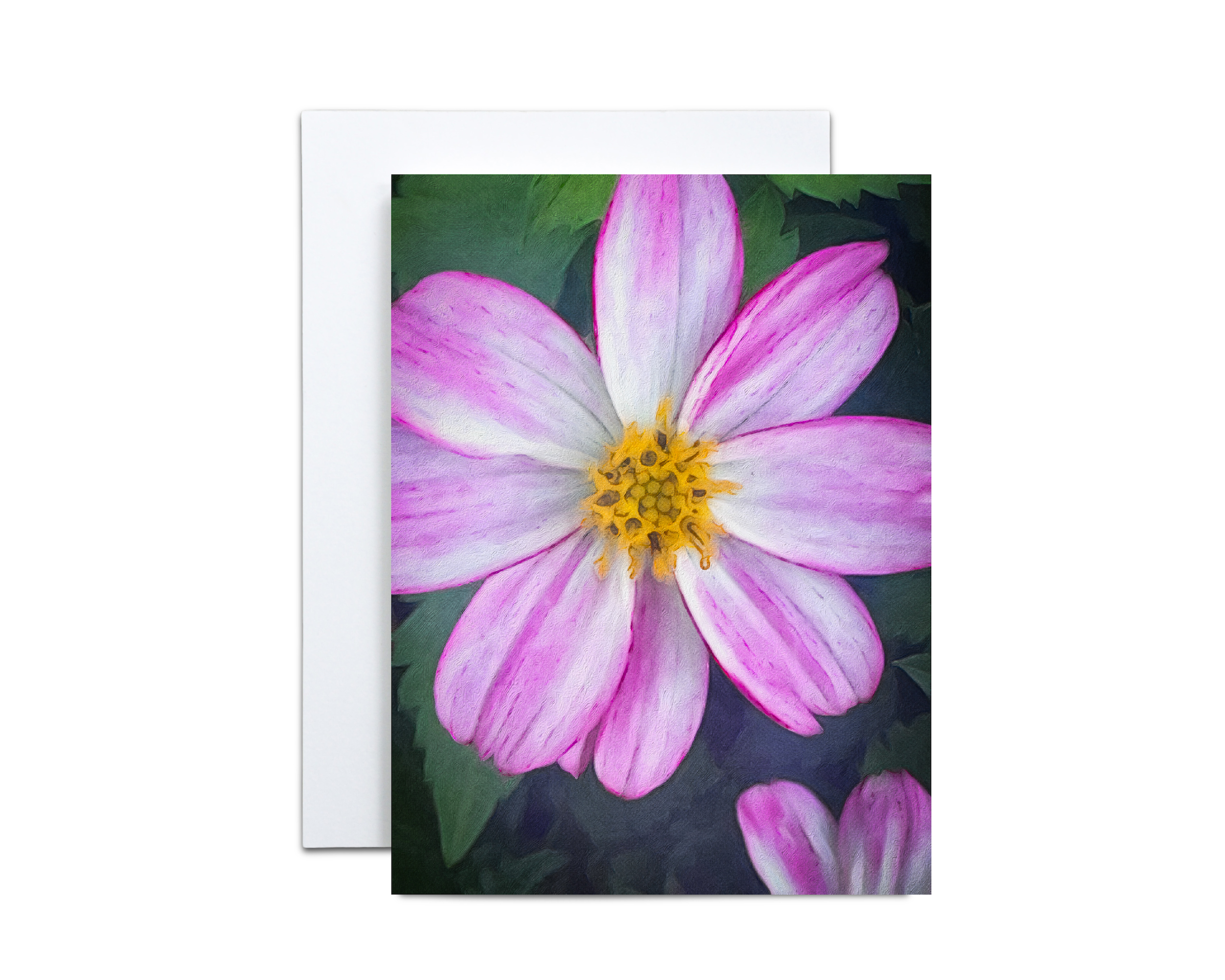 Pink Floral Cosmos Note Cards- 10 Cards & 10 Envelopes