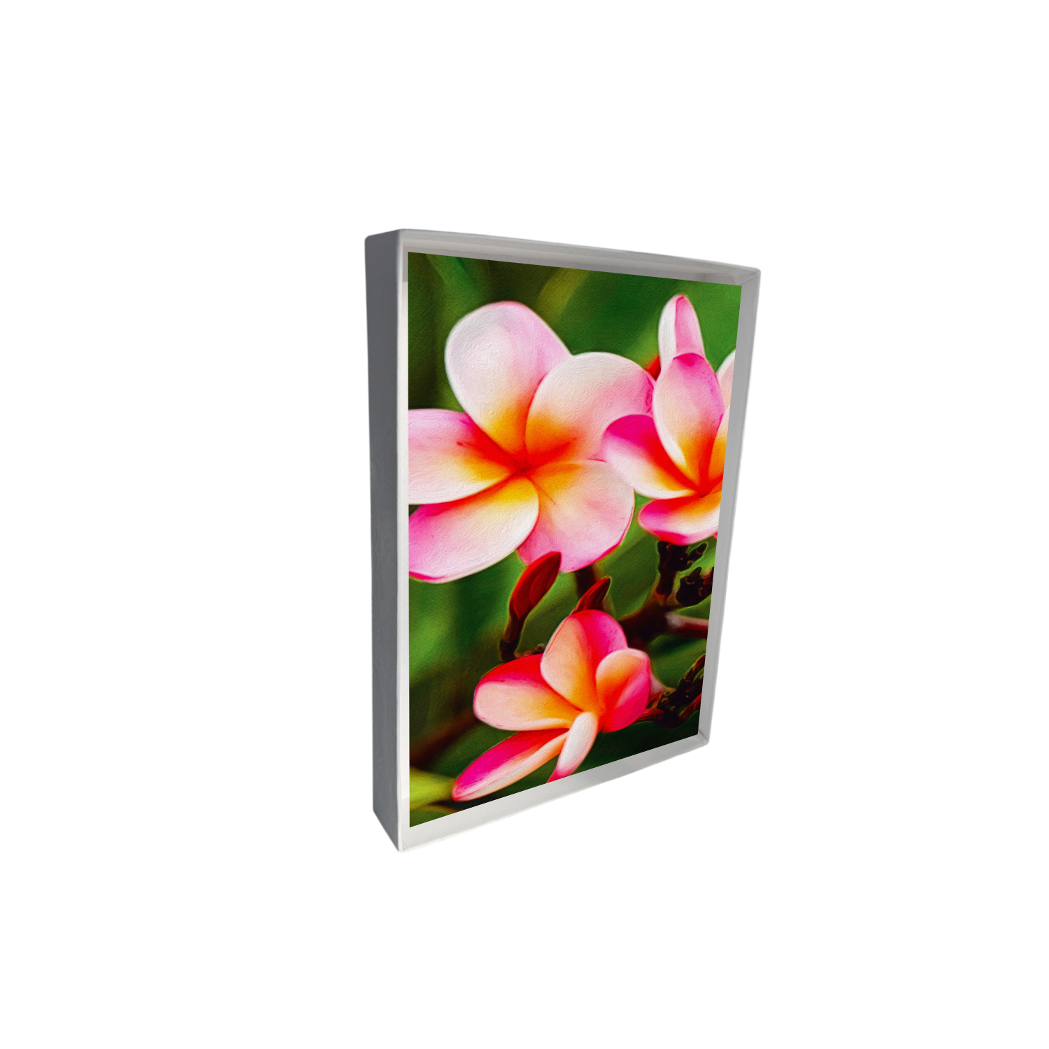 new mockup box upright (3) copy 3.png