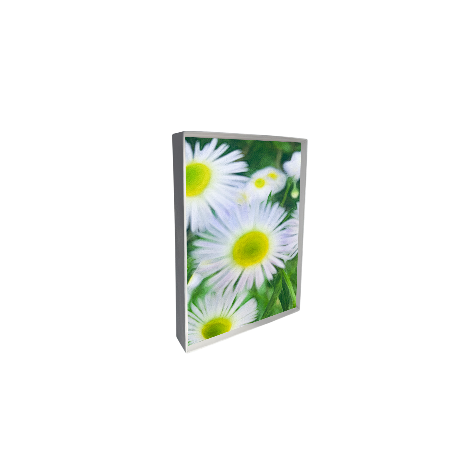 white daisies box 2.png