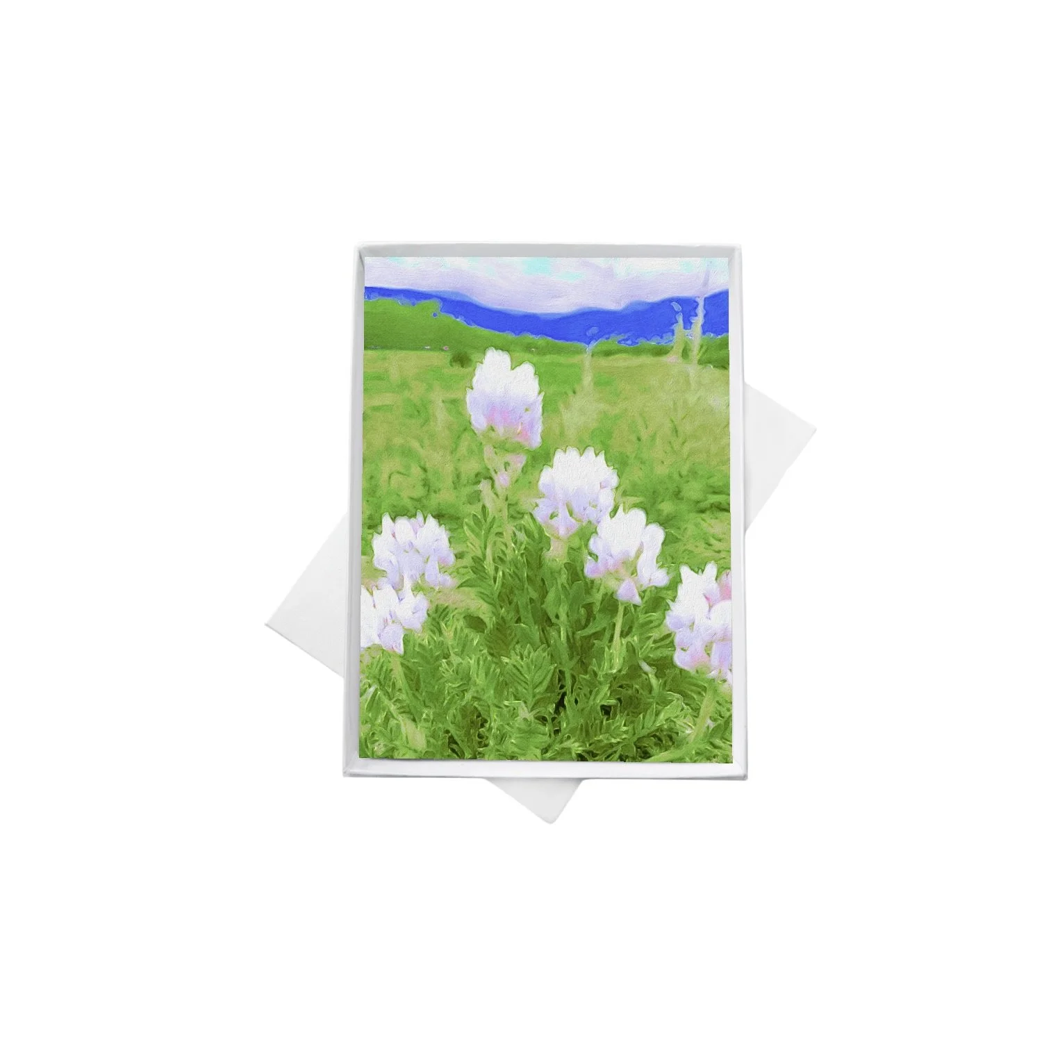 double boxes mockup (2) copy.jpeg