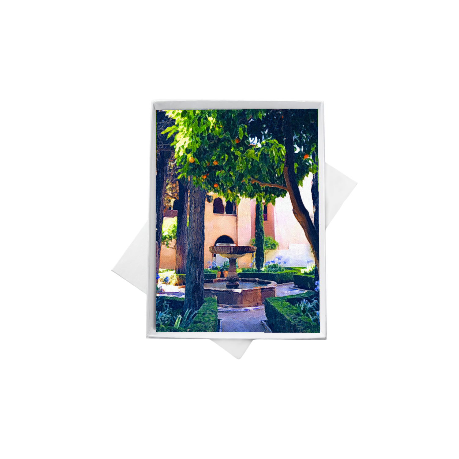 double boxes template (9).png