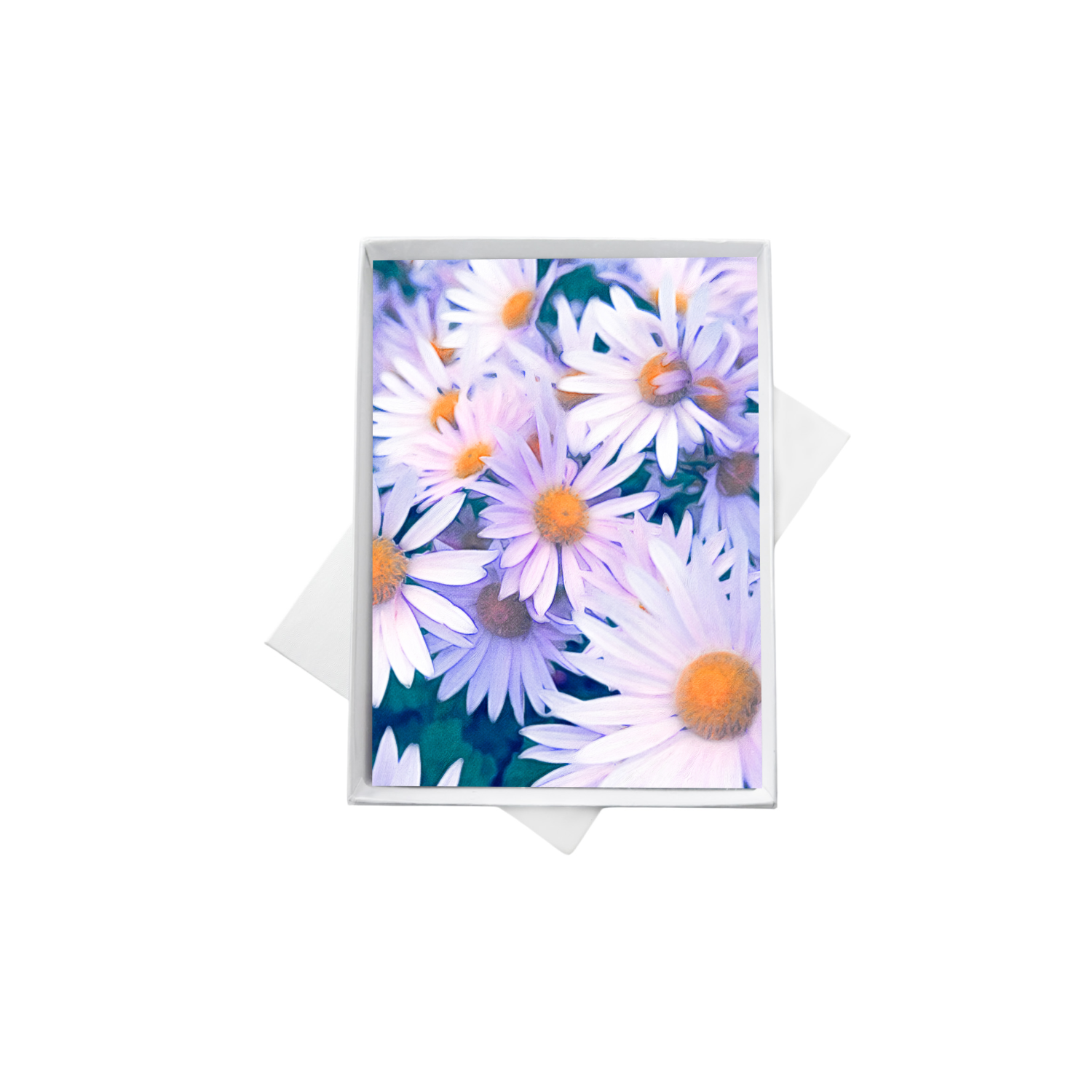 double boxes template copy 3.png