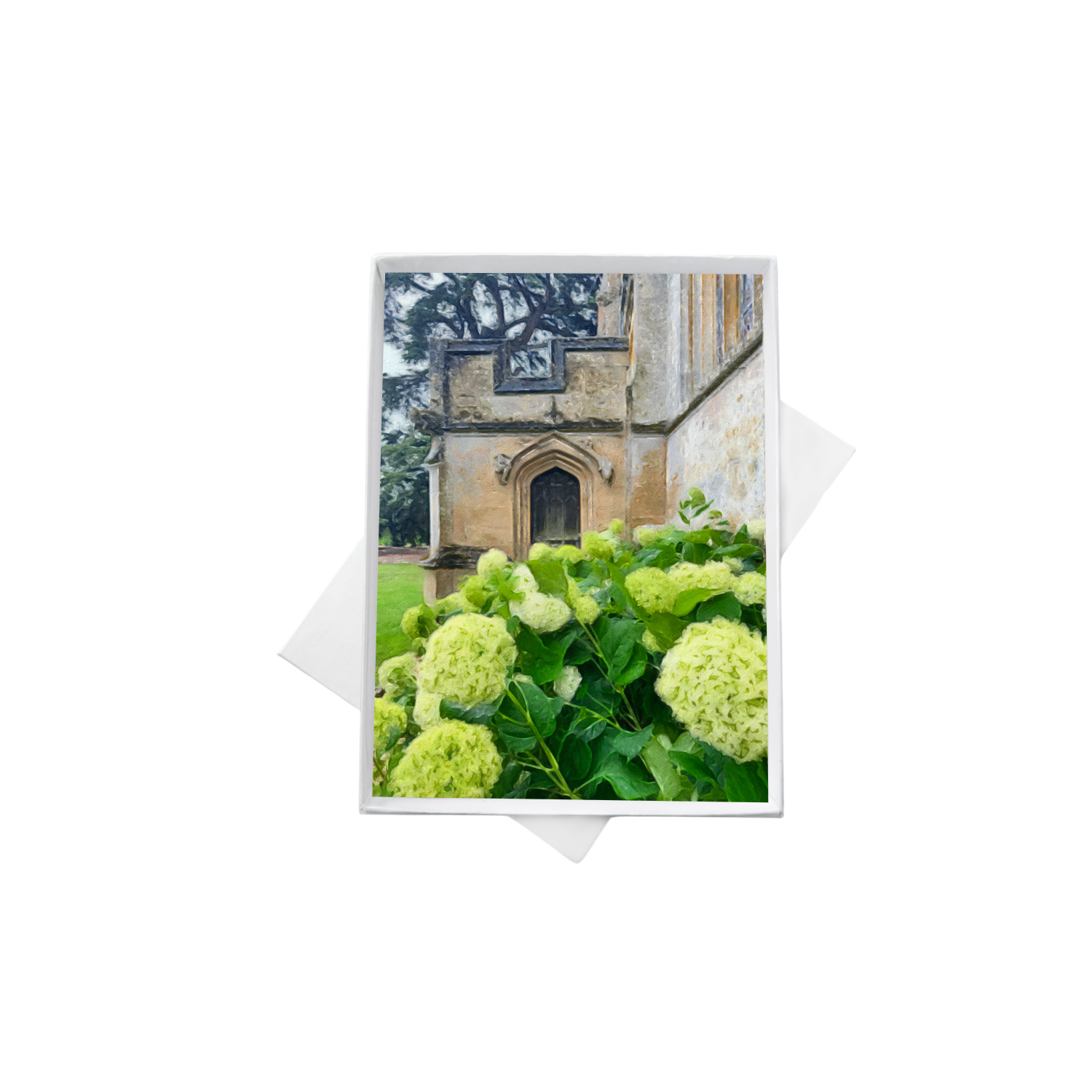 double boxes mockup (2).png