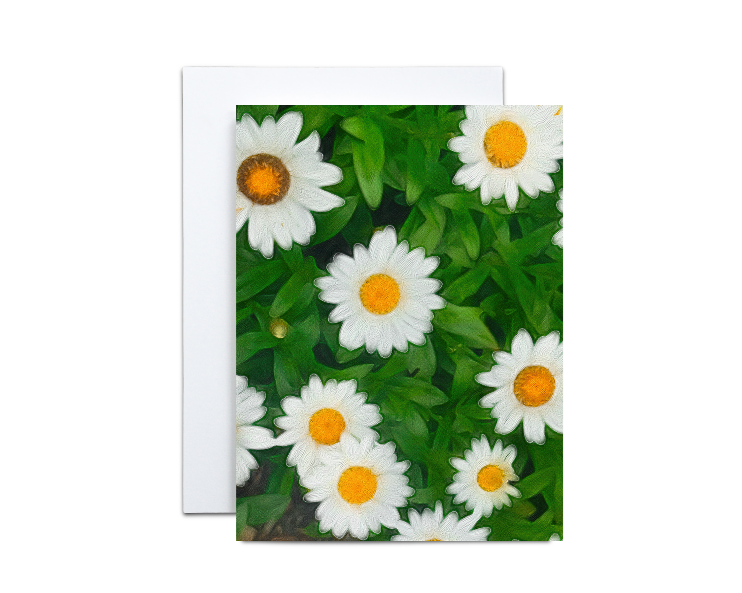 Colorful White Daisies Note Cards- 10 Cards & 10 Envelopes