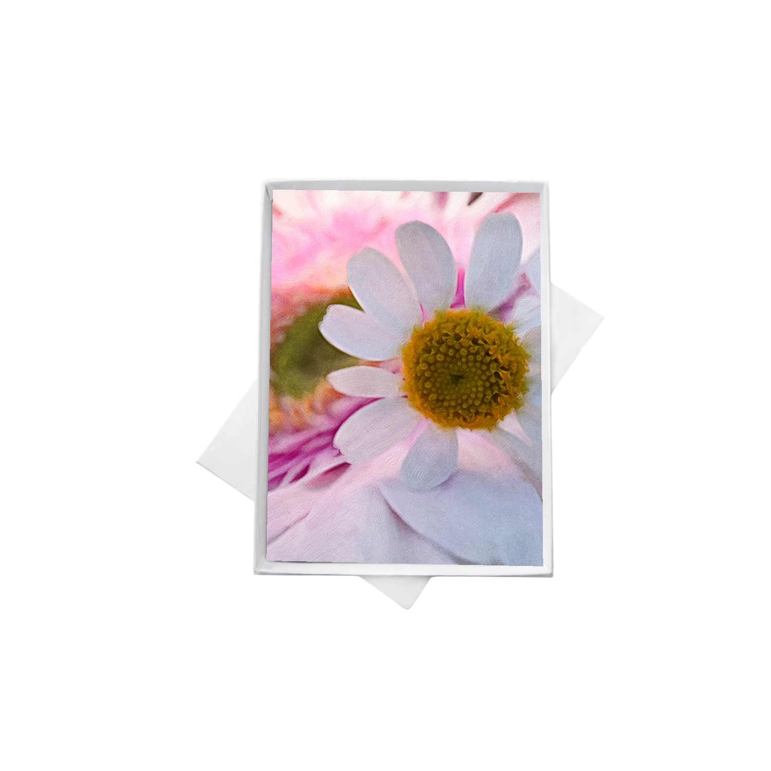 double boxes mockup (7).png