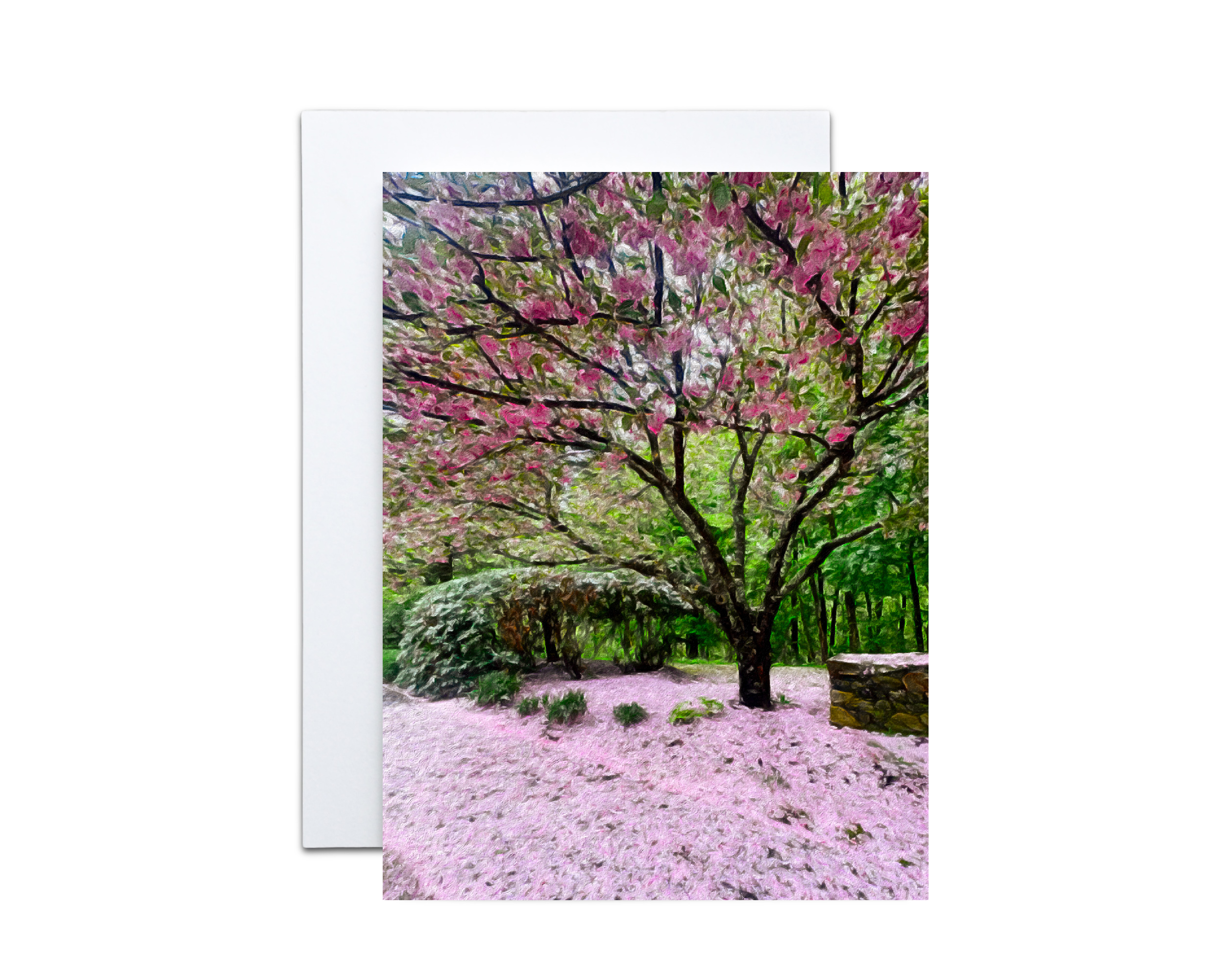 ErinPlewesMockups-5x7Card use 3000 x 2400 (3).png