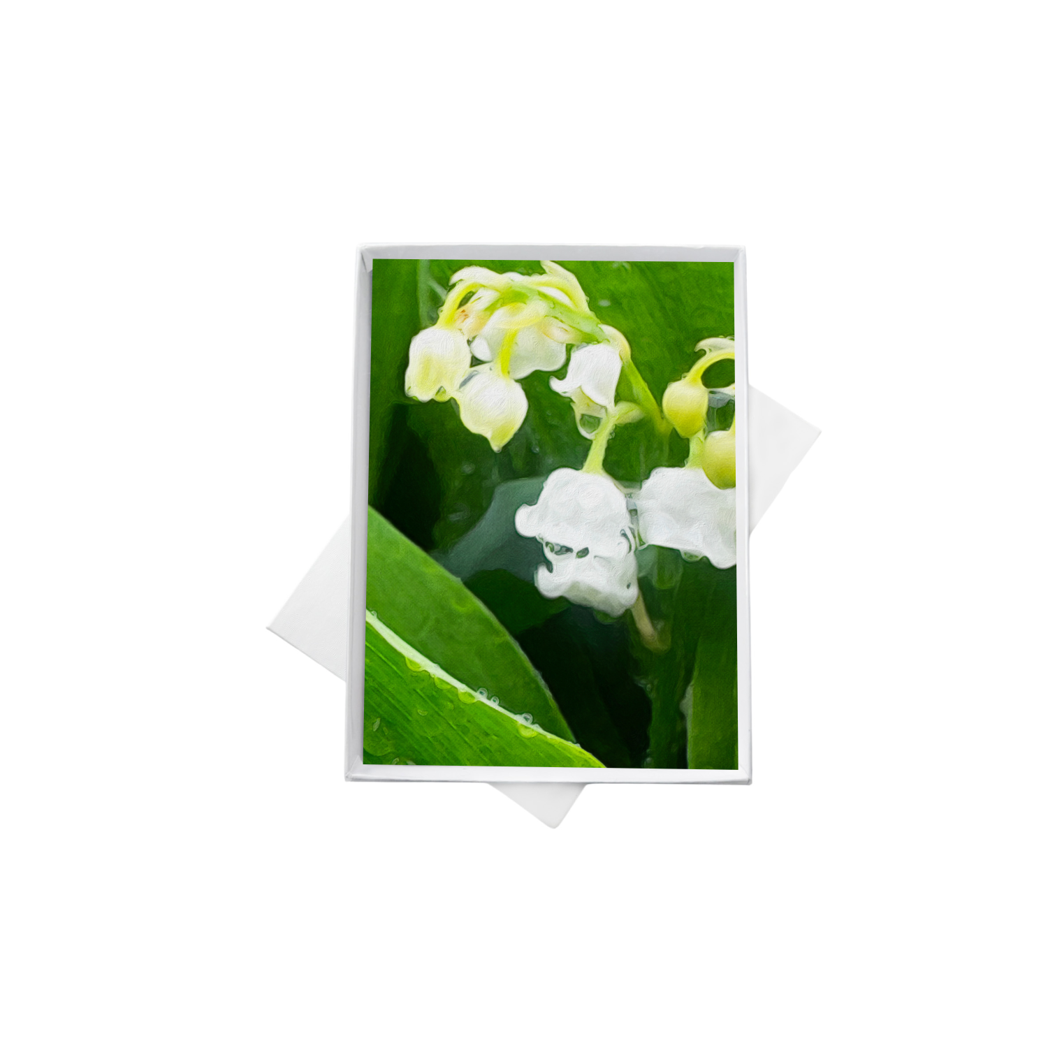 double boxes mockup (6).png