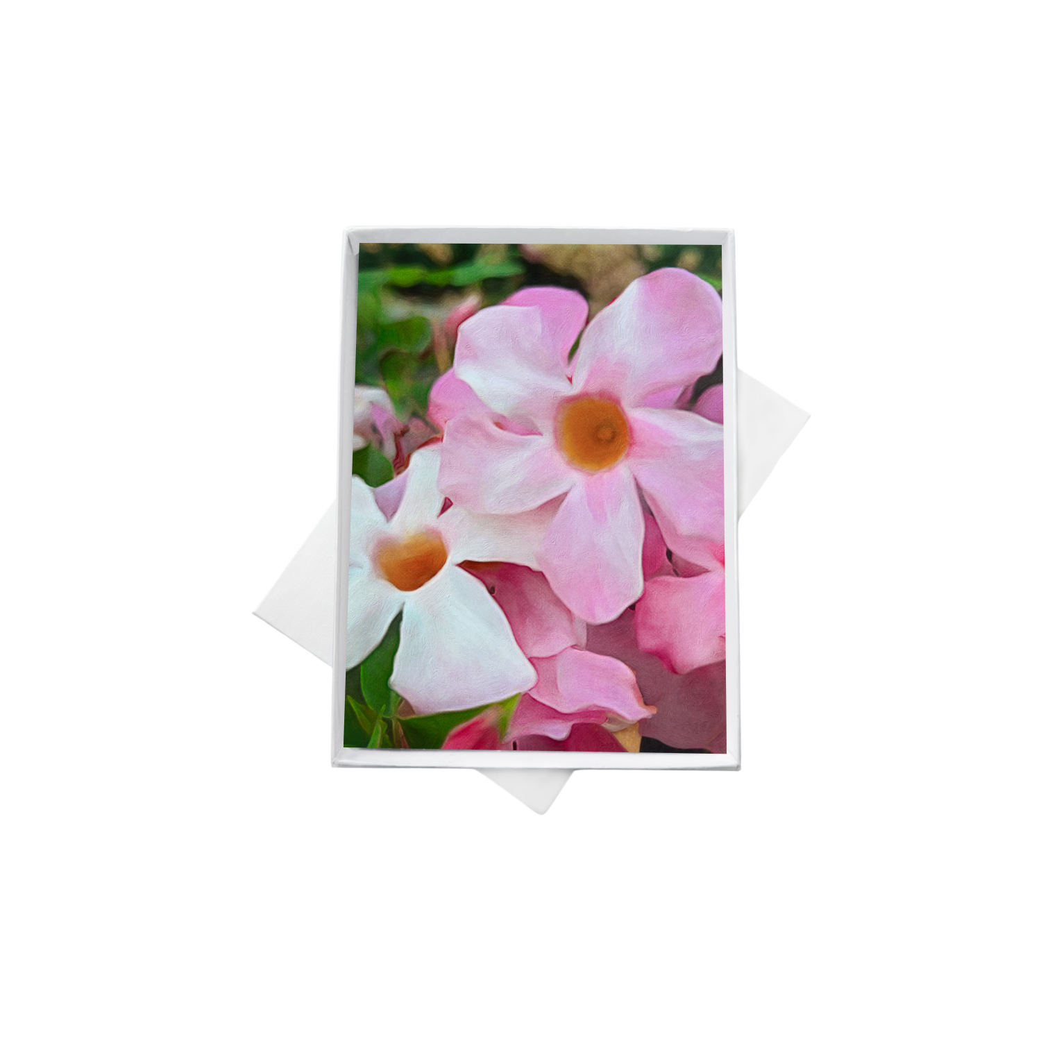 double boxes template (4) copy 2.png