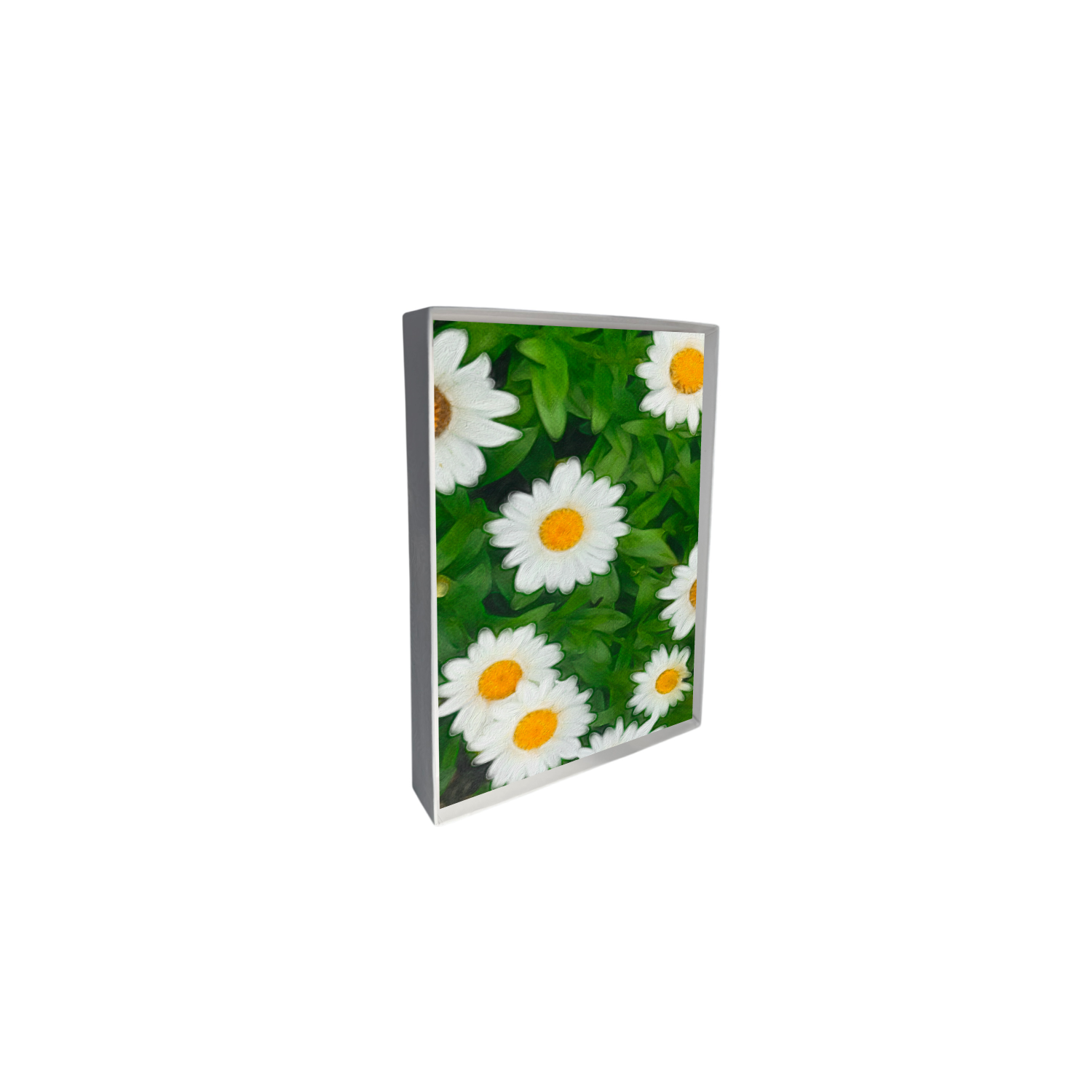colorful daisies box 2.png